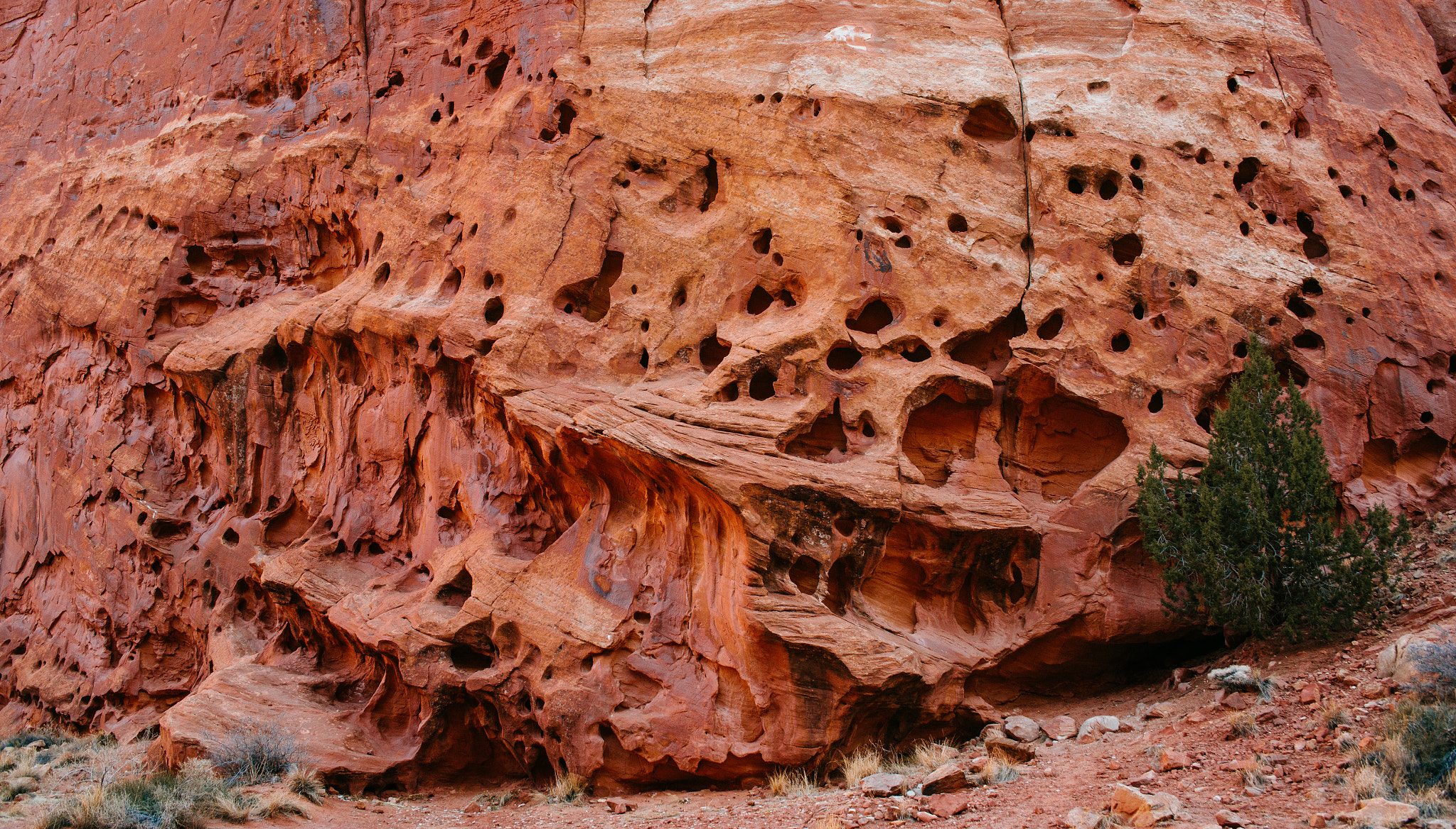 Nikon D800 + AF Zoom-Nikkor 35-70mm f/2.8 sample photo. Eroded sandstone wall, capitol reef np photography