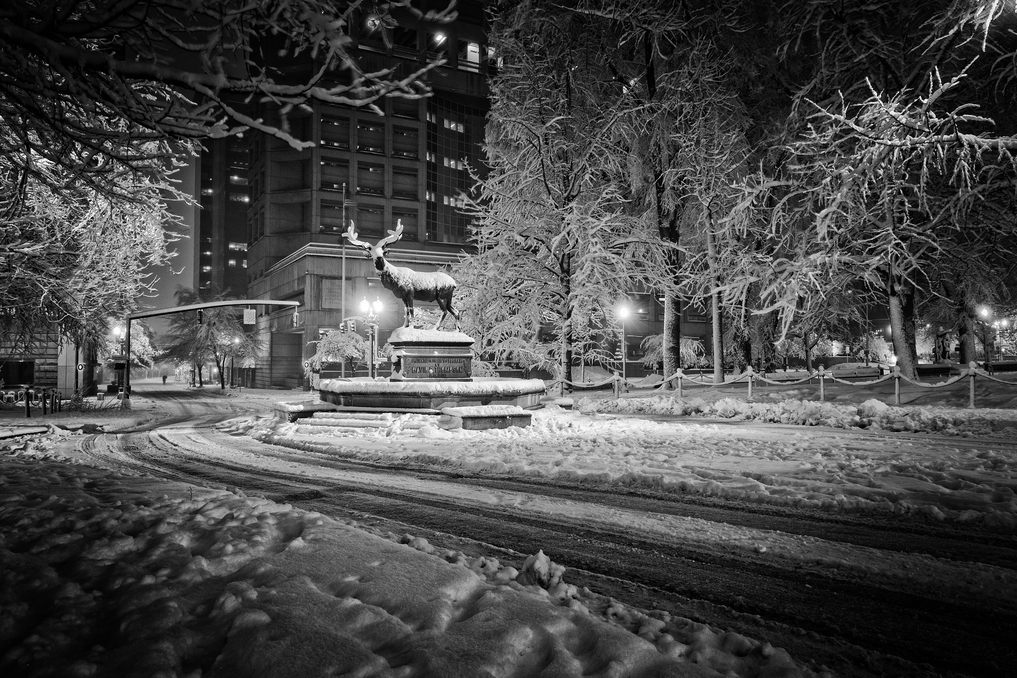 Canon EF 16-35mm F4L IS USM sample photo. Winter noir ix photography