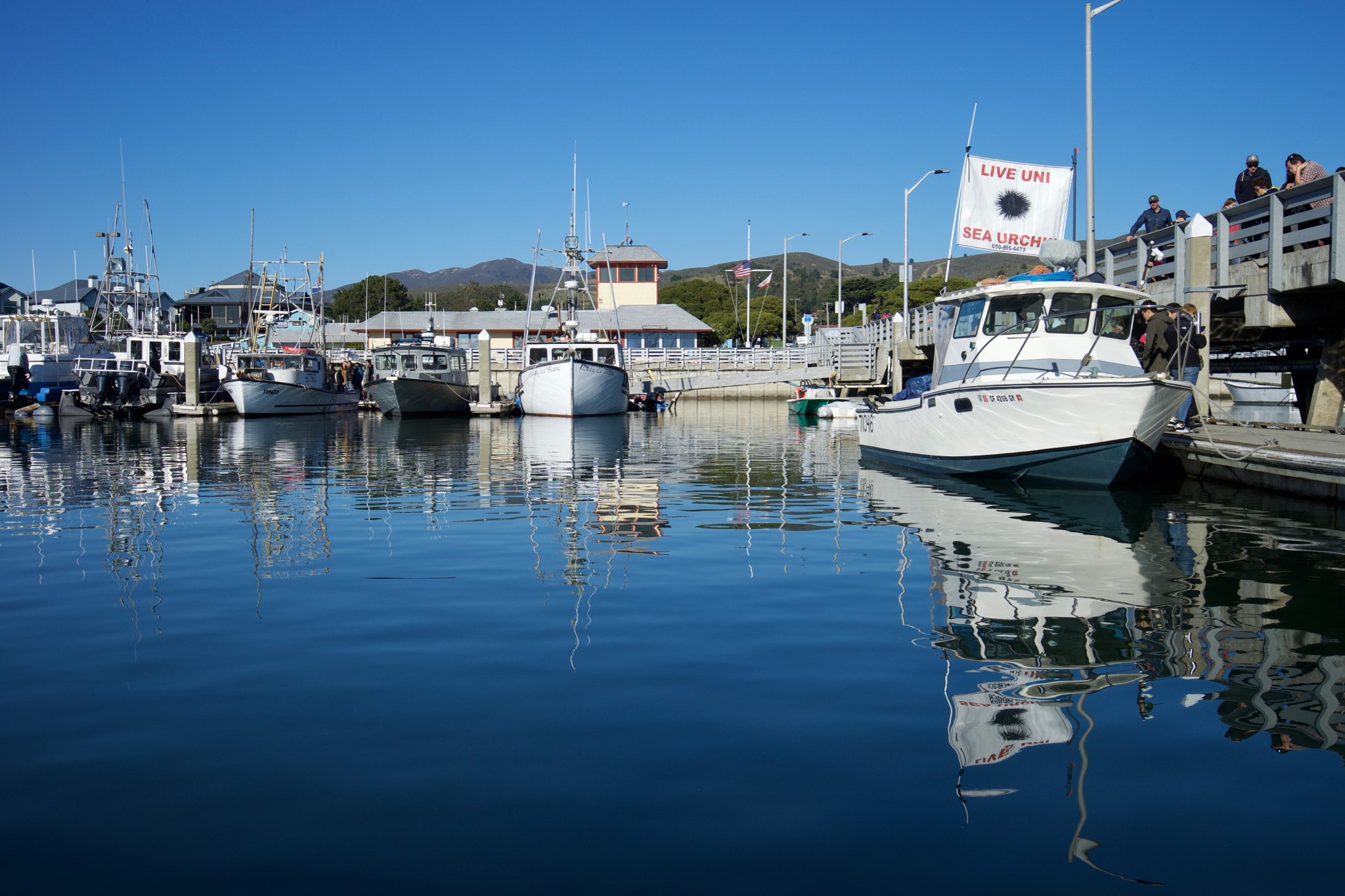 Sony a7 sample photo. Fish market at the harbor photography