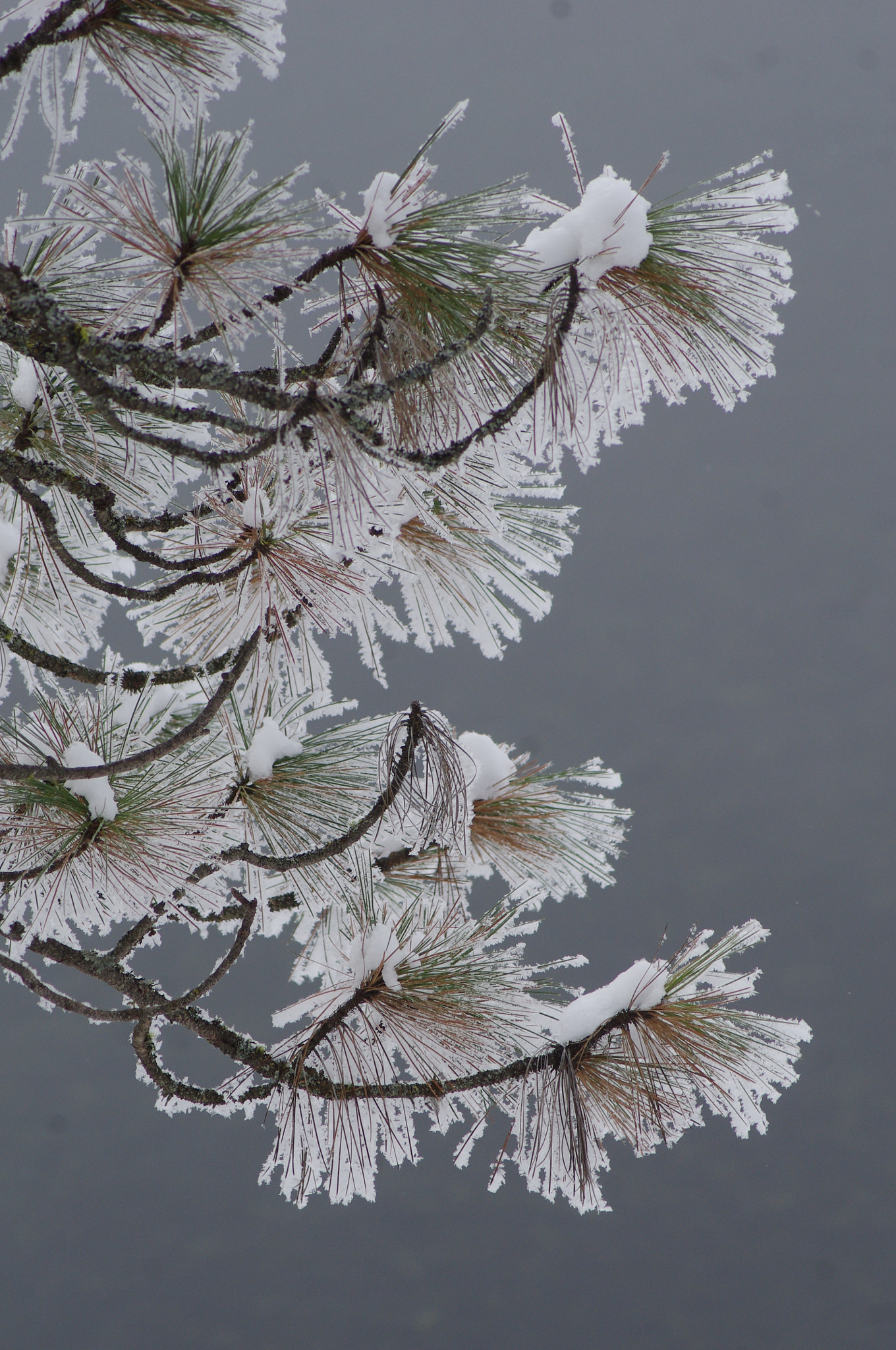 Tamron AF 70-300mm F4-5.6 LD Macro 1:2 sample photo. 029.jpg photography