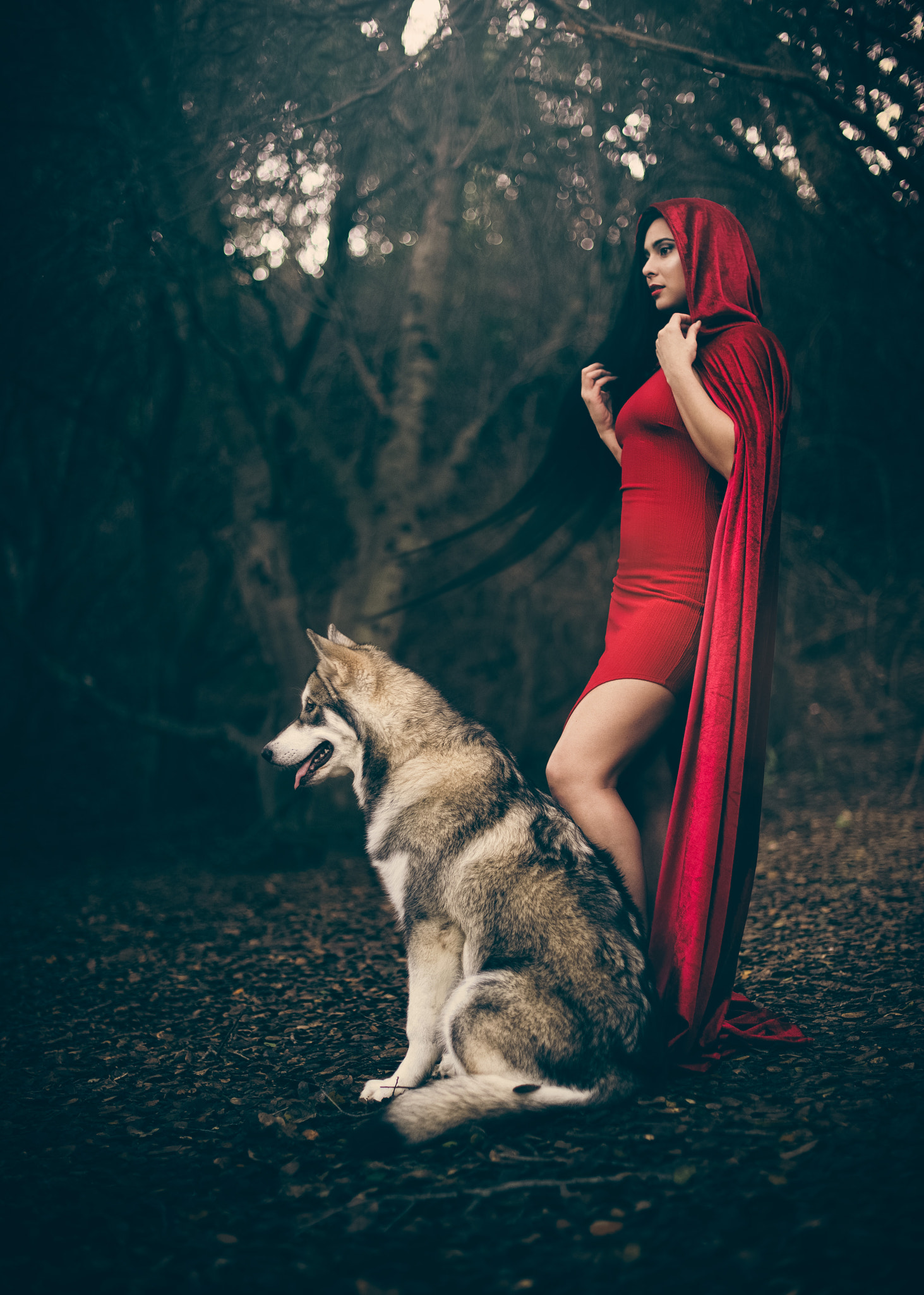 Nikon D3 + Nikon AF-S Nikkor 50mm F1.4G sample photo. Red hood photography