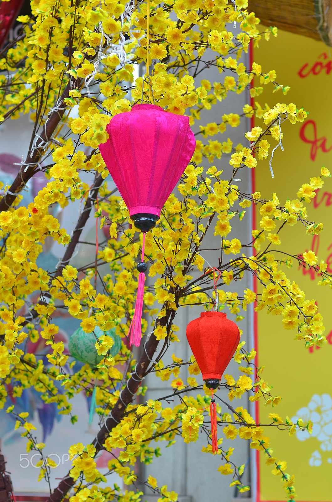 Nikon D7000 + Nikon AF Nikkor 50mm F1.4D sample photo. Spring ## photography