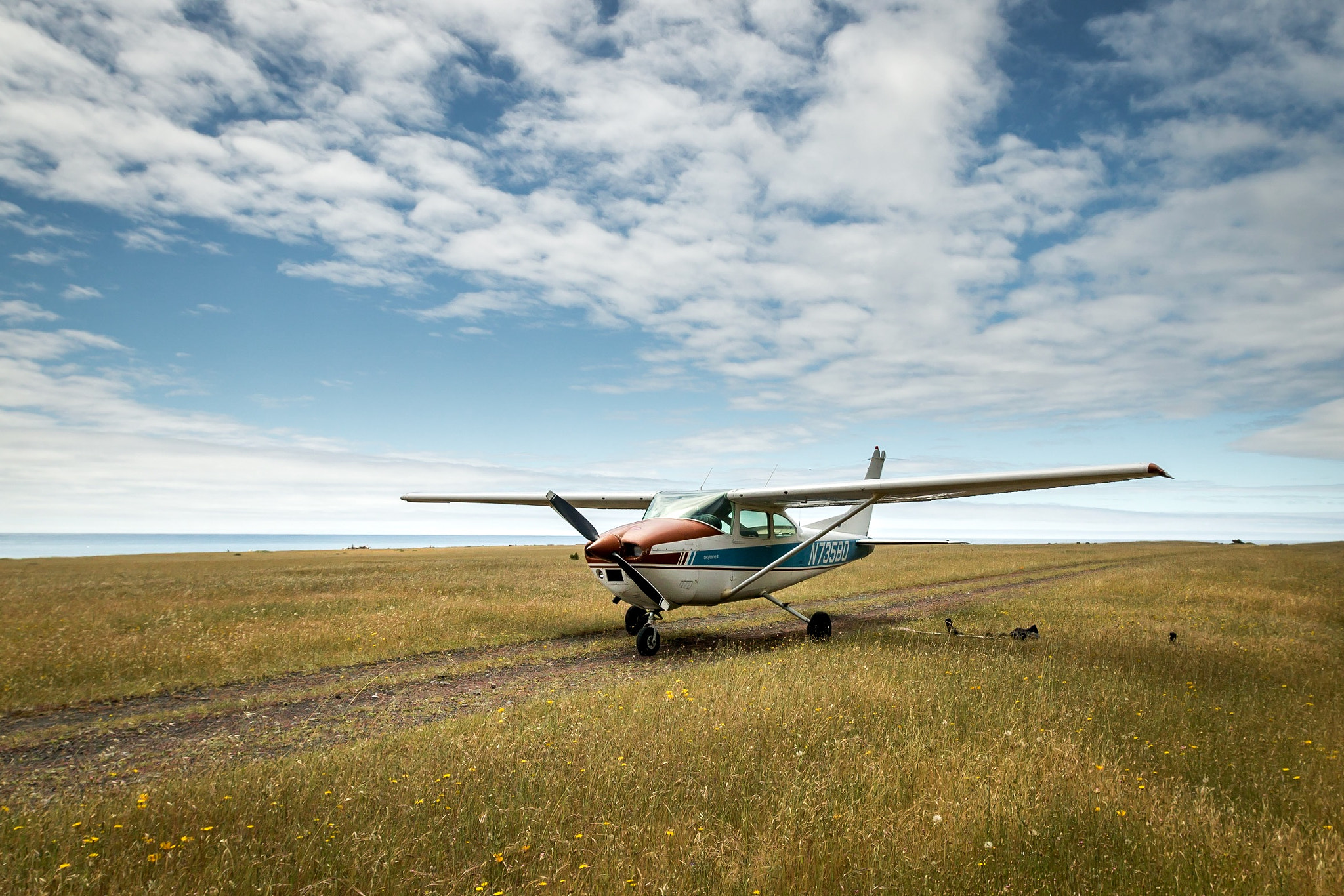 Canon EF 16-35mm F2.8L II USM sample photo. Plane in a field photography