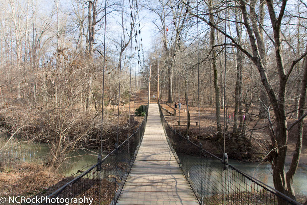 Canon TS-E 90mm F2.8 Tilt-Shift sample photo. Swinging bridge photography