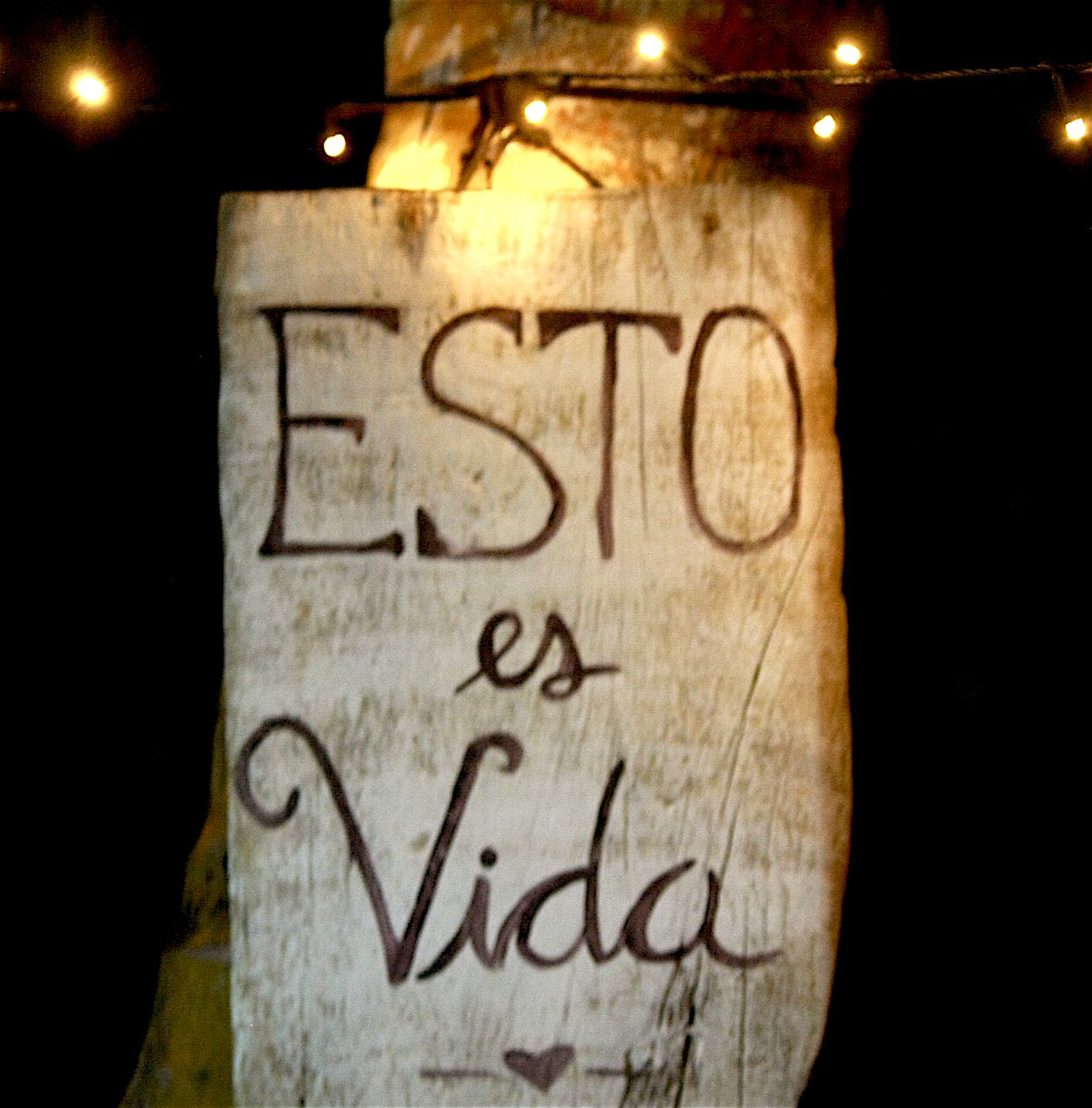 Canon EOS 40D sample photo. Esto es vida photography