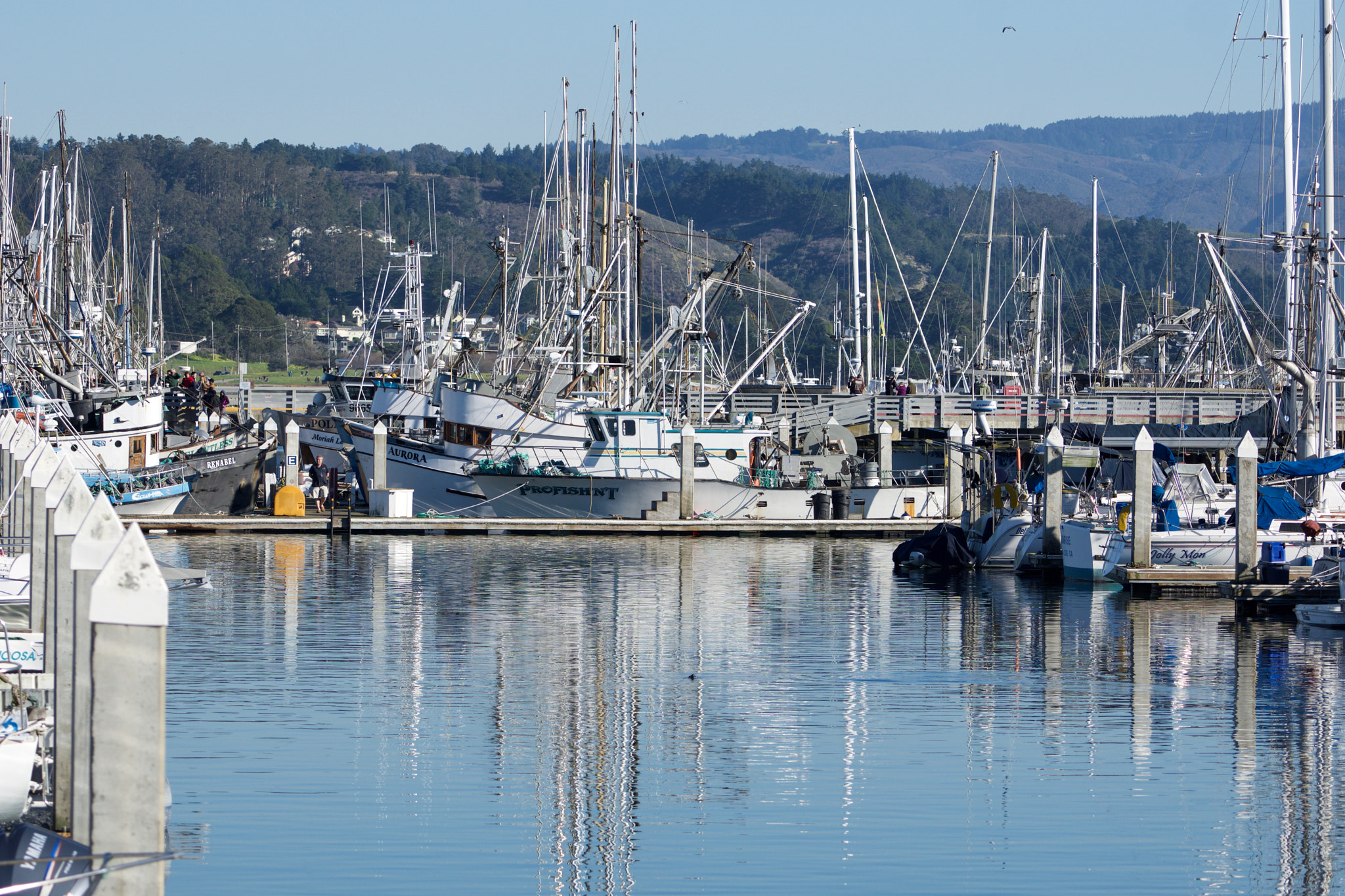 Sony FE 70-200mm F4 G OSS sample photo. Reflections at the harbor photography