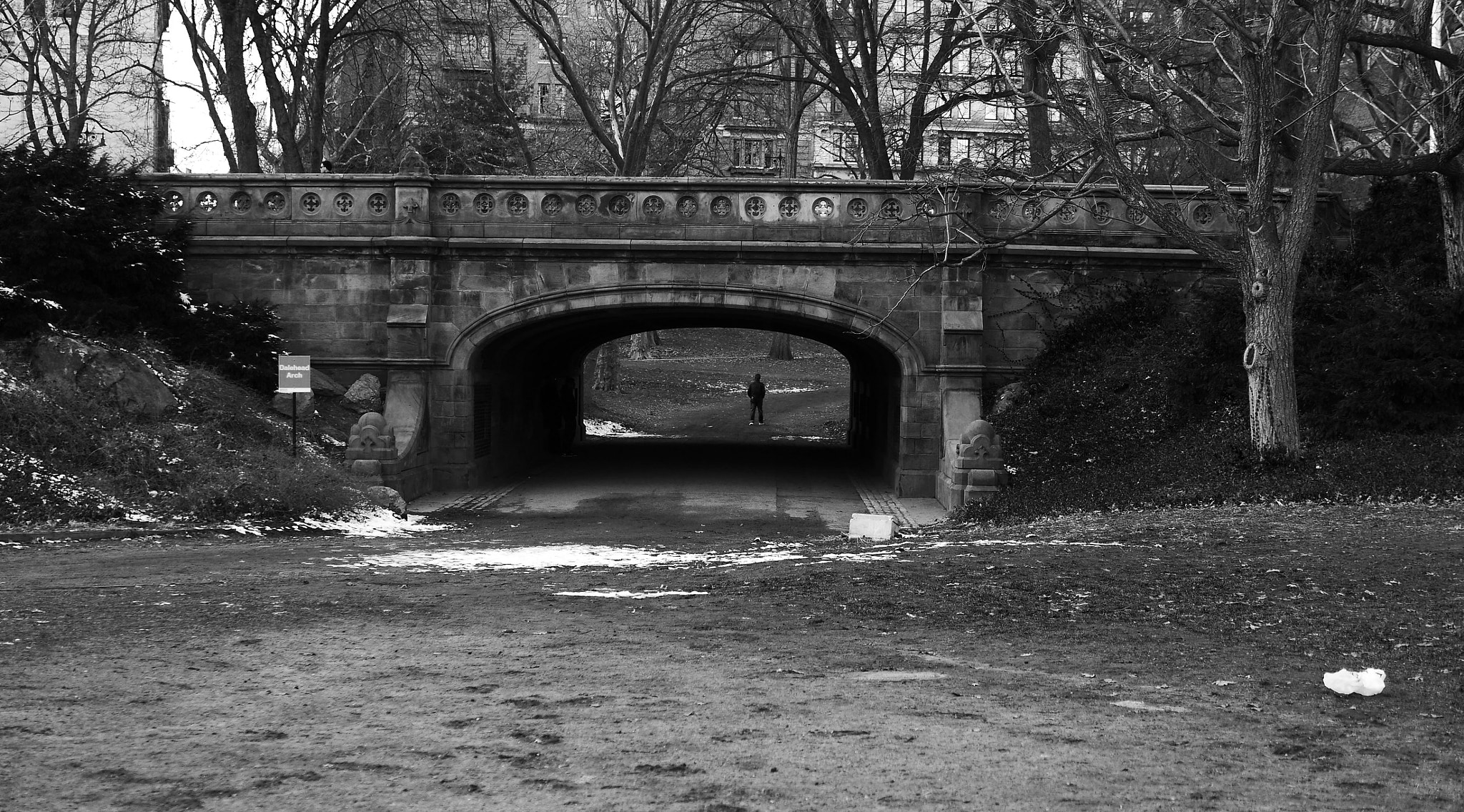 Panasonic Lumix DMC-GH3 sample photo. Central park 3 photography