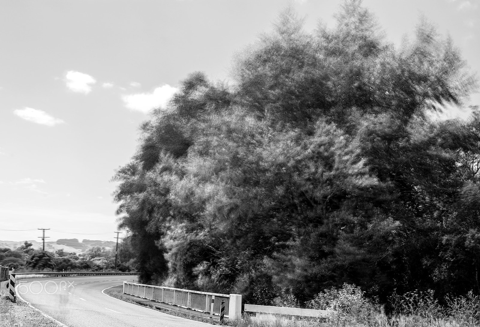 Tokina 28-80mm F3.5-5.6 sample photo. How the wind blows photography
