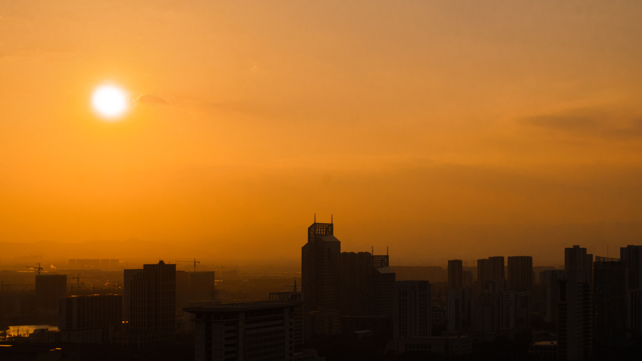 Nikon D300 sample photo