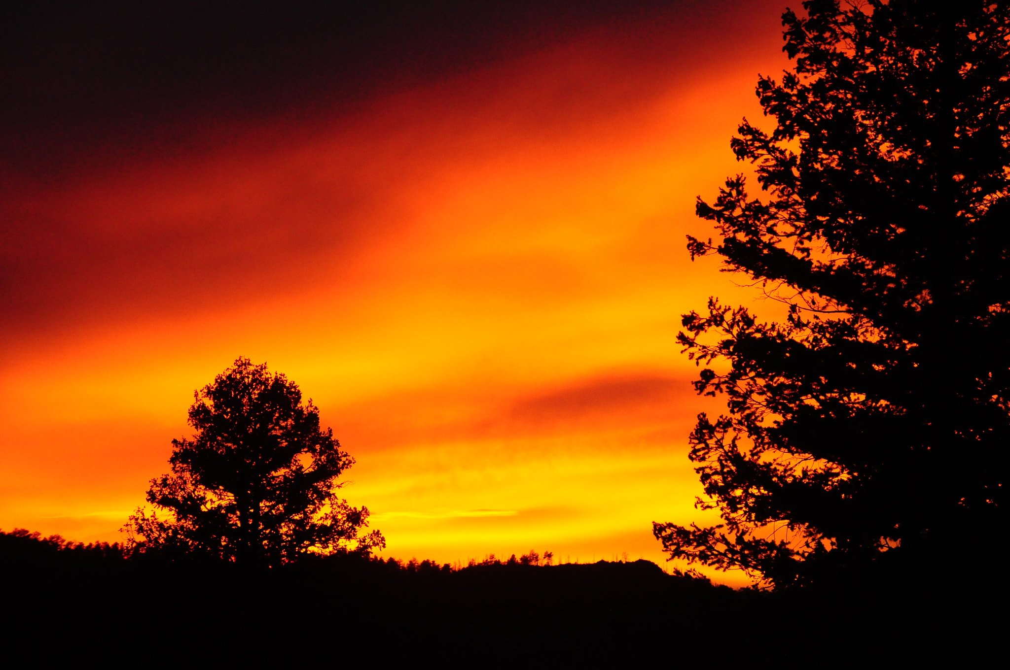 Nikon D300 sample photo. Thunder ridge photography