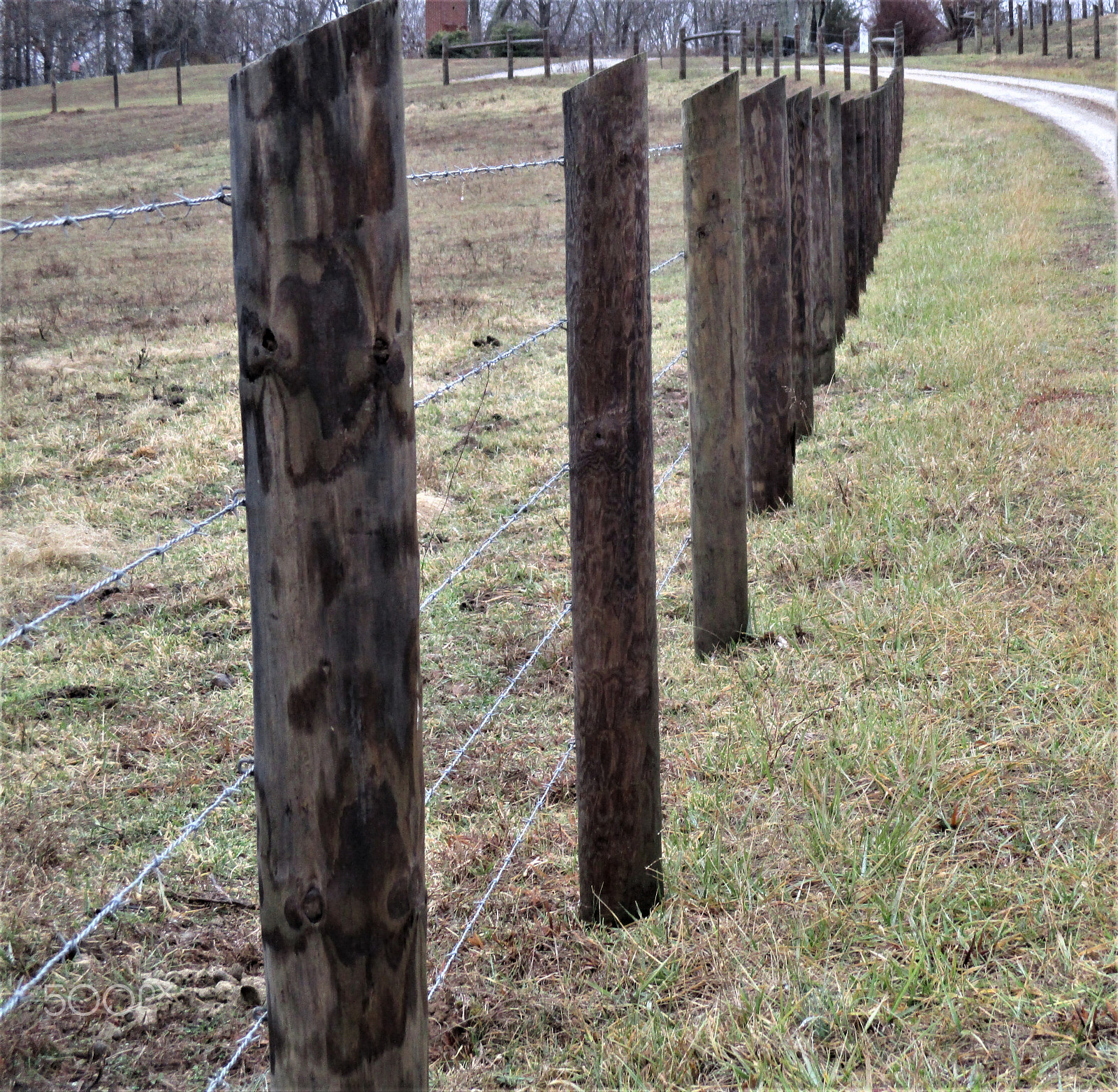 Canon PowerShot ELPH 160 (IXUS 160 / IXY 150) sample photo. Fences photography