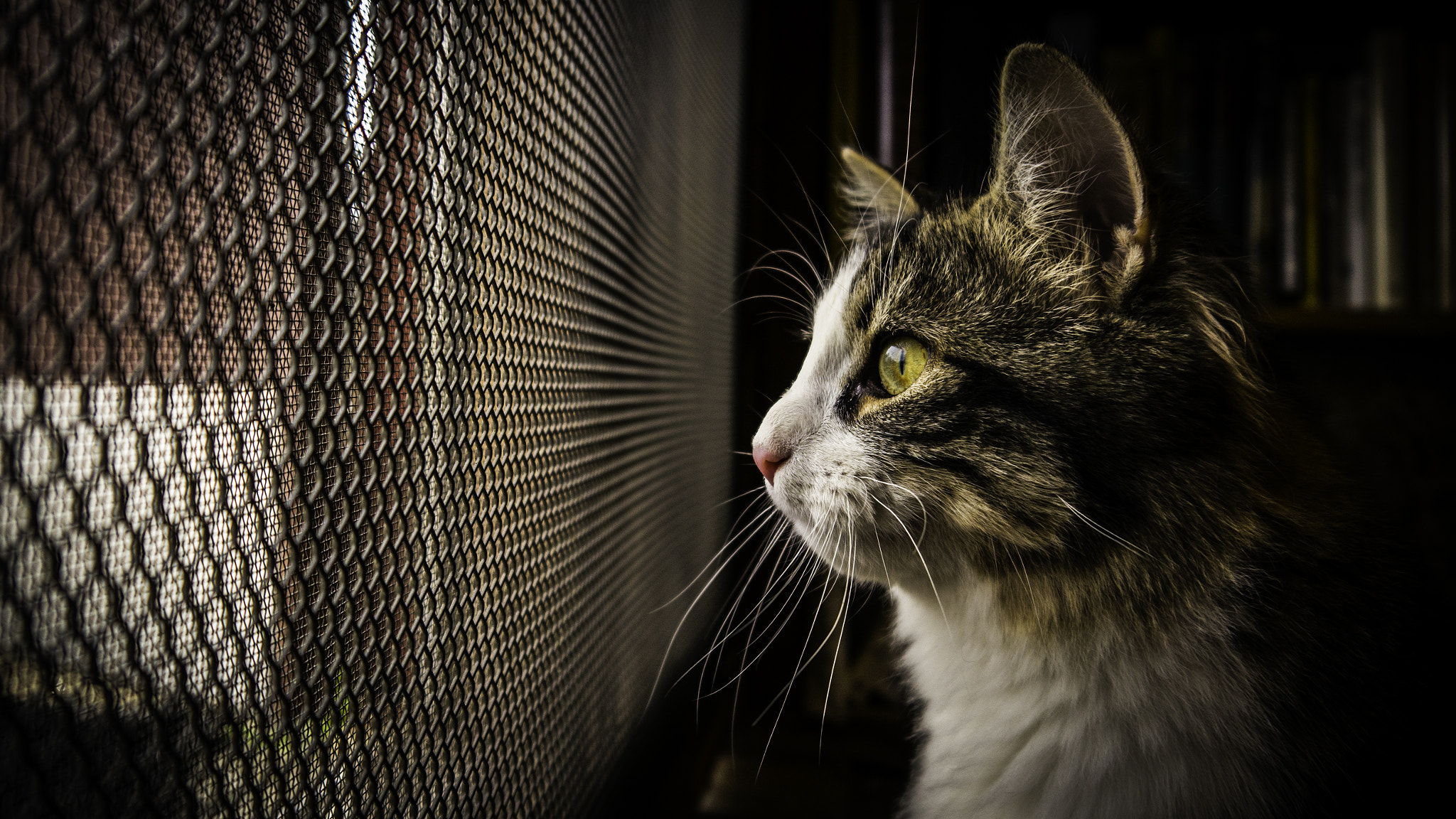Panasonic Lumix DMC-GH2 sample photo. P photography