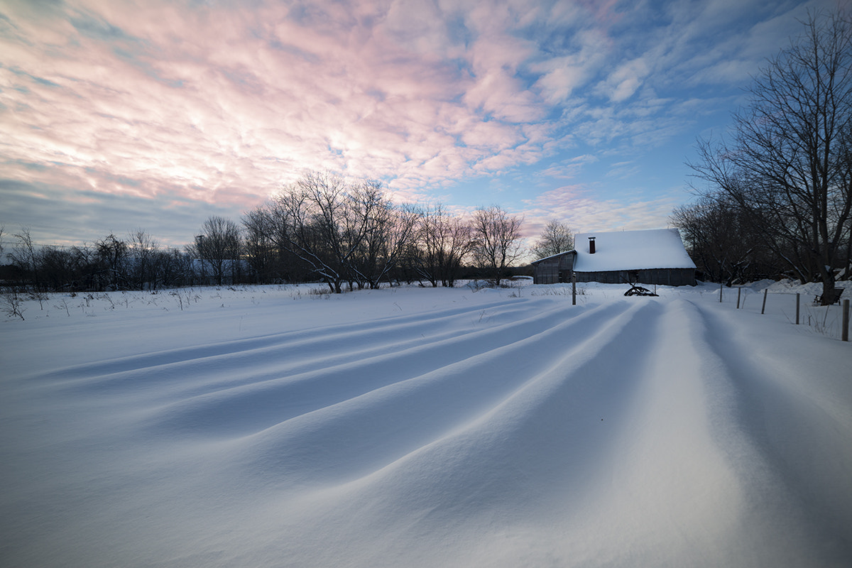 Samyang 14mm F2.8 ED AS IF UMC sample photo. Winter photography