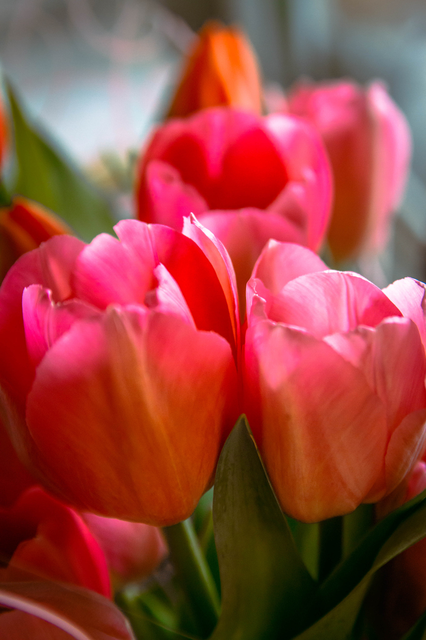 Sigma 18-50mm f/2.8 Macro sample photo