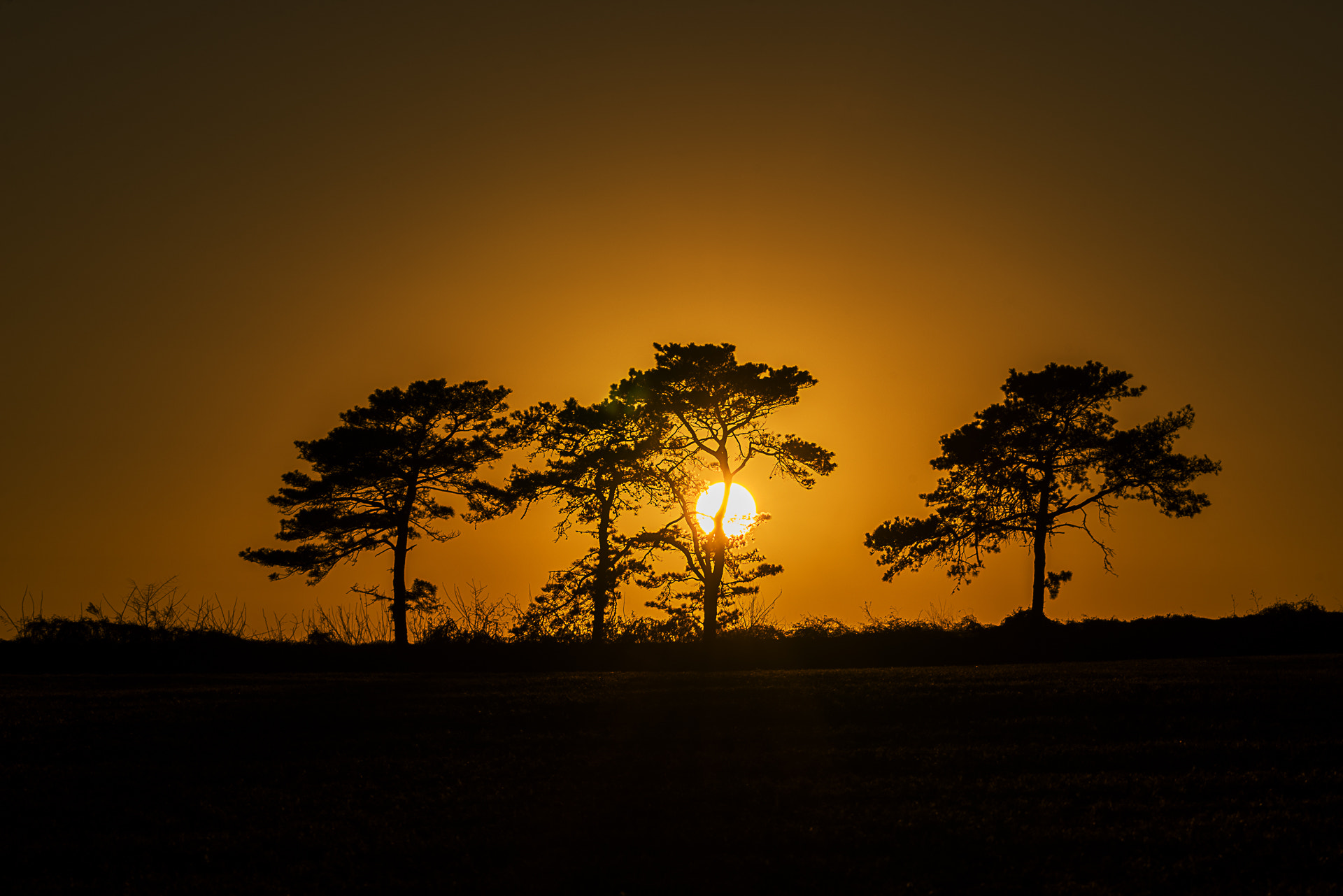 Sony a7R + Sony FE 70-200mm F4 G OSS sample photo. 안성목장 photography