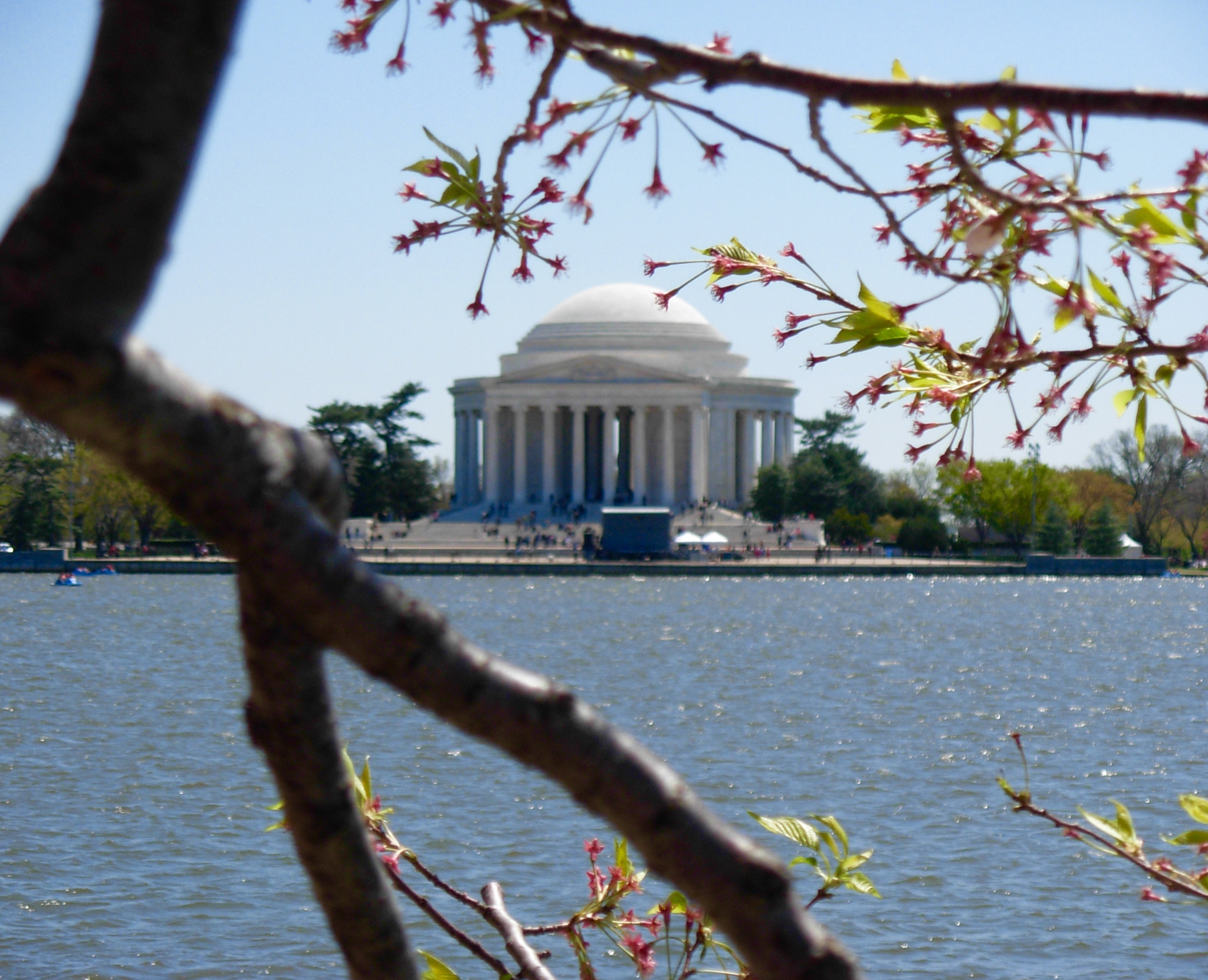 Nikon COOLPIX L5 sample photo. Jefferson memorial, washington, dc in the spring photography