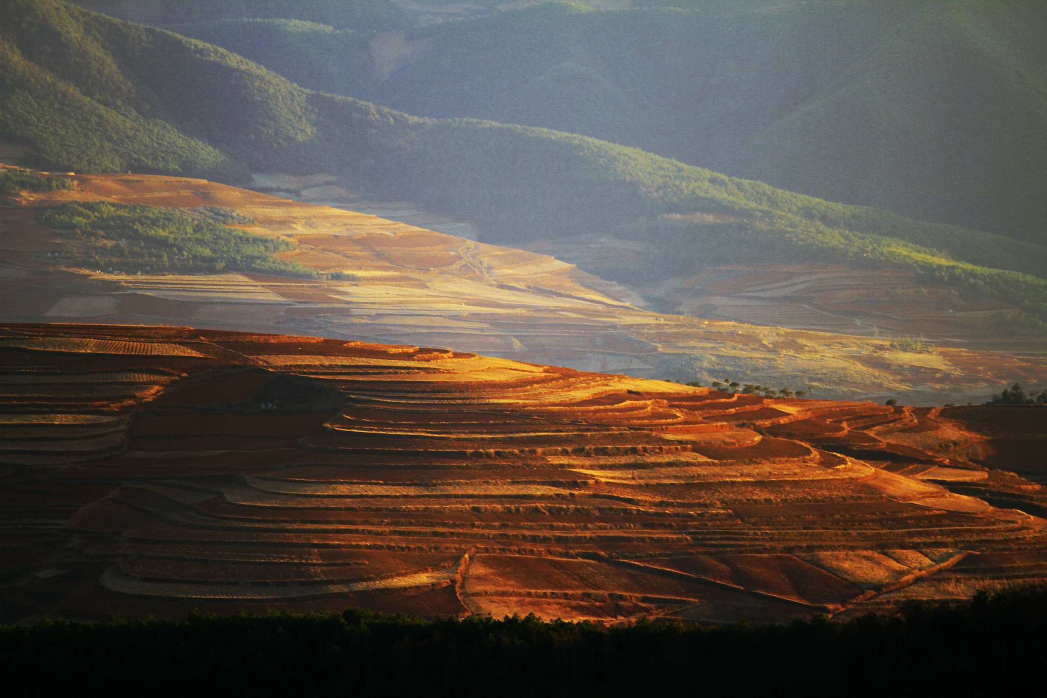Canon EF-S 55-250mm F4-5.6 IS sample photo. 12.jpg photography