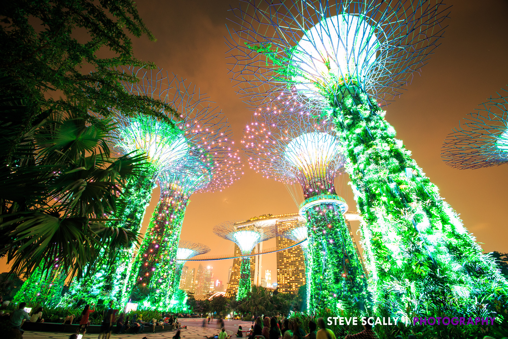 Sigma 10-20mm F3.5 EX DC HSM sample photo. Gardens by the bay lightshow photography