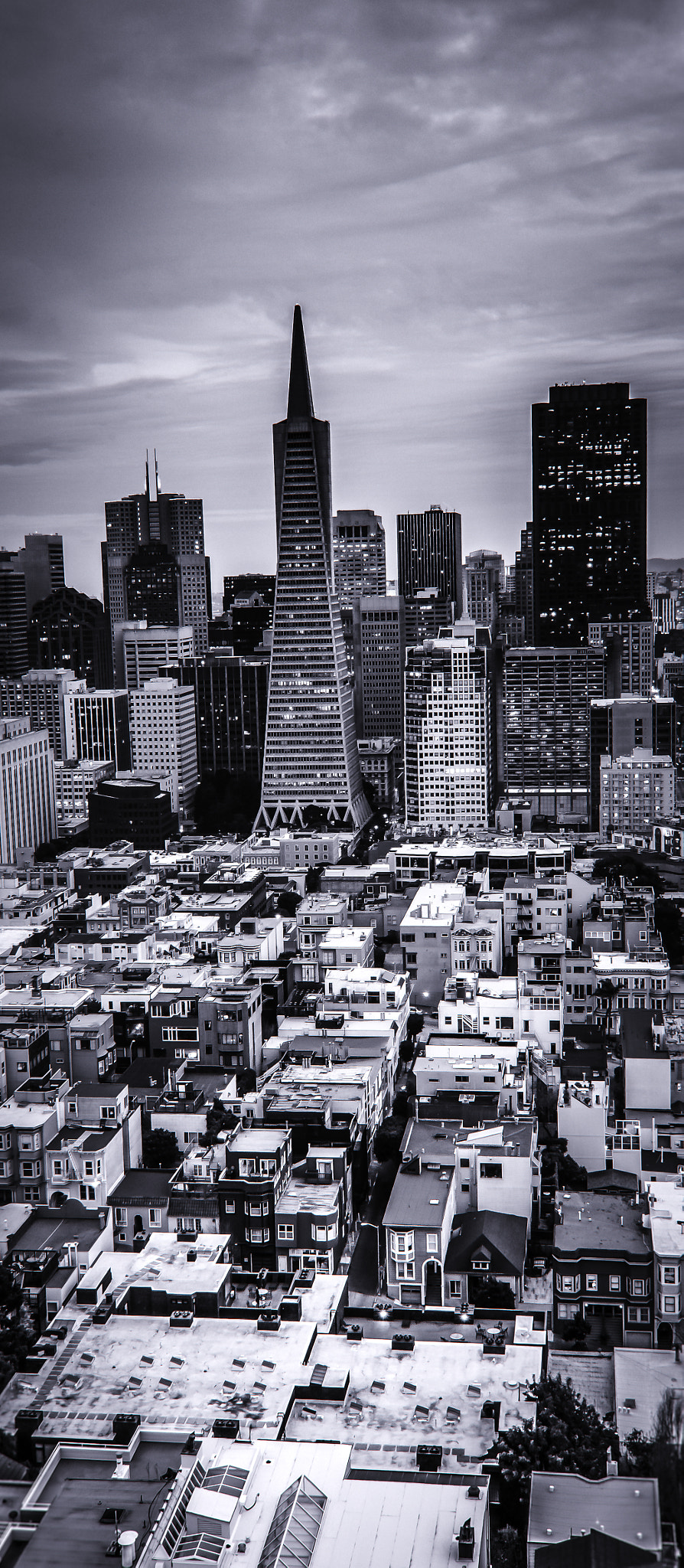 Nikon AF Nikkor 24mm F2.8D sample photo. Sliver of san francisco photography