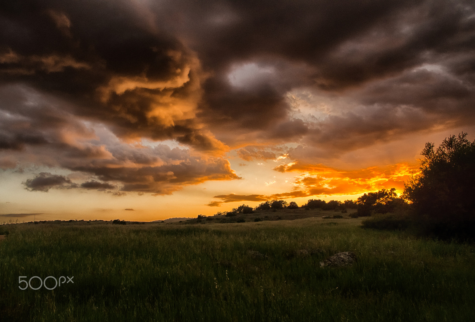 Sony SLT-A65 (SLT-A65V) sample photo. Storm over the plateau photography