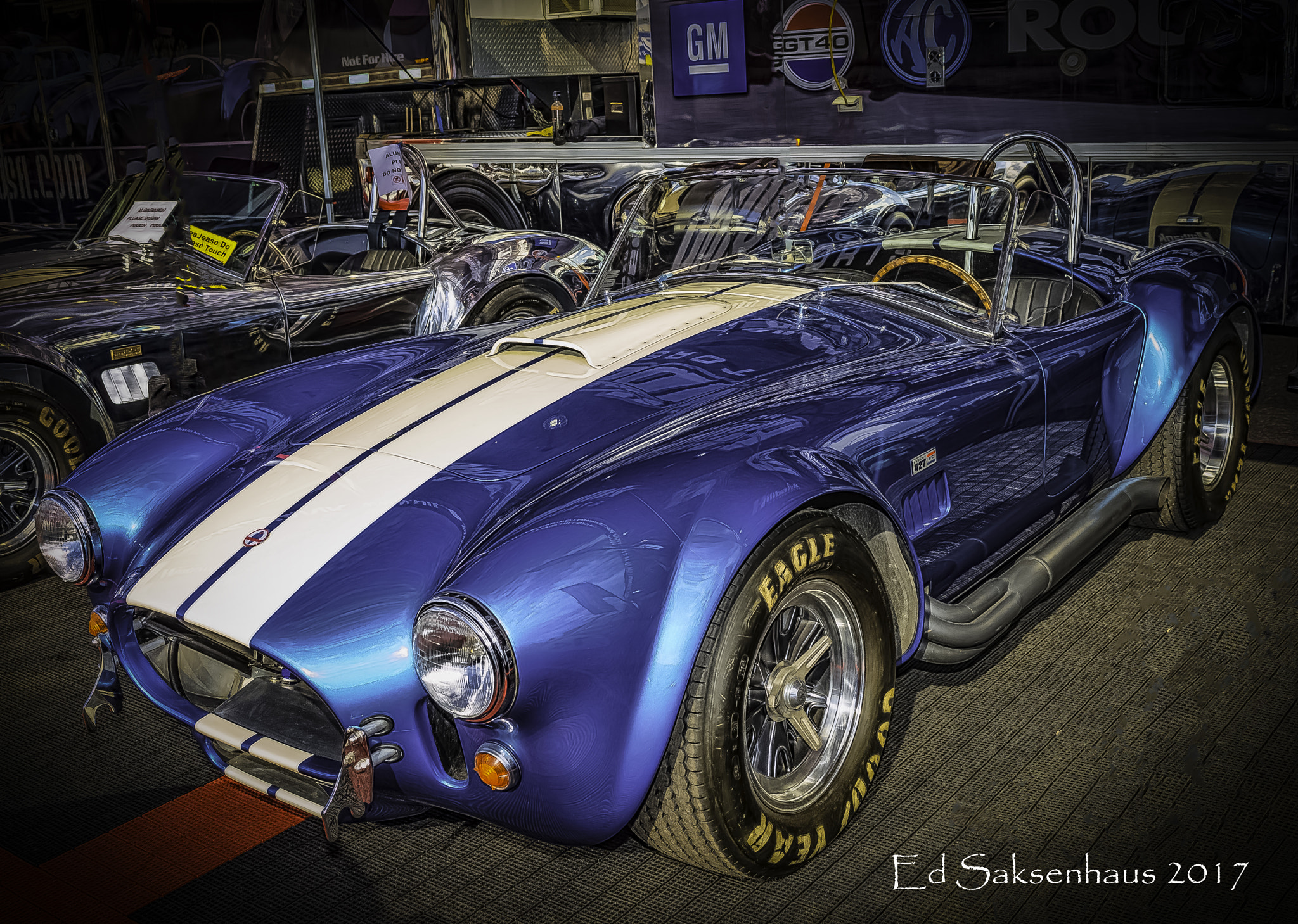 Nikon AF-S Nikkor 28-70mm F2.8 ED-IF sample photo. Blue cobra photography