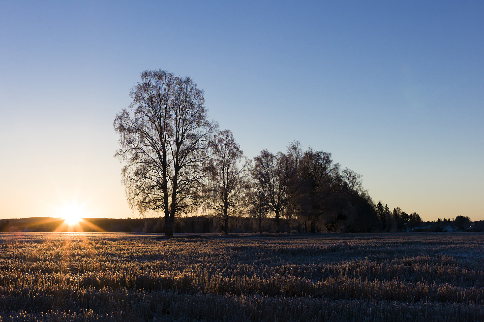 Leica M9 + Leica Summicron-M 90mm f/2 (II) sample photo. Sunday morning mood photography