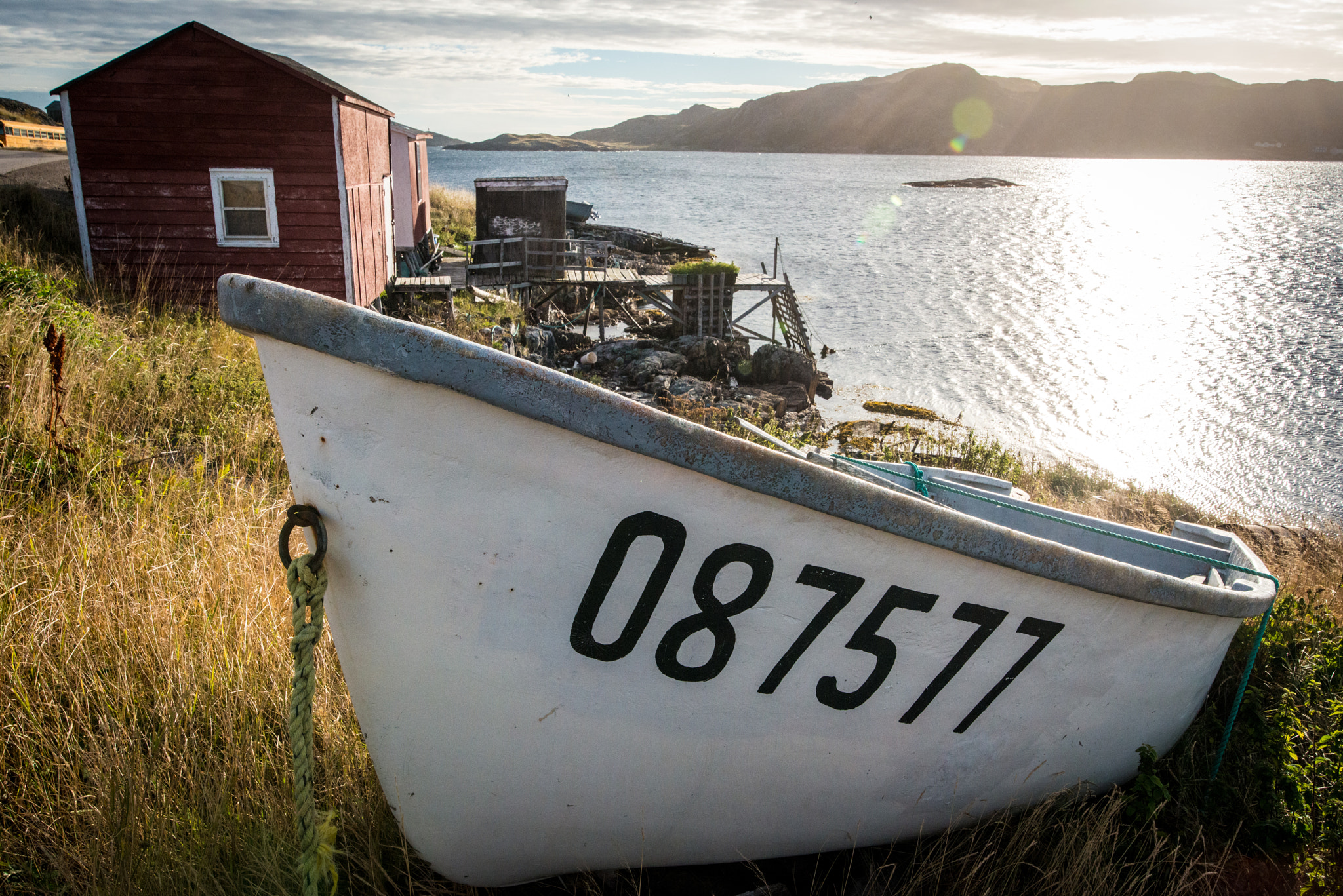 Nikon D800 + Tokina AT-X 16-28mm F2.8 Pro FX sample photo. Fogo bay photography