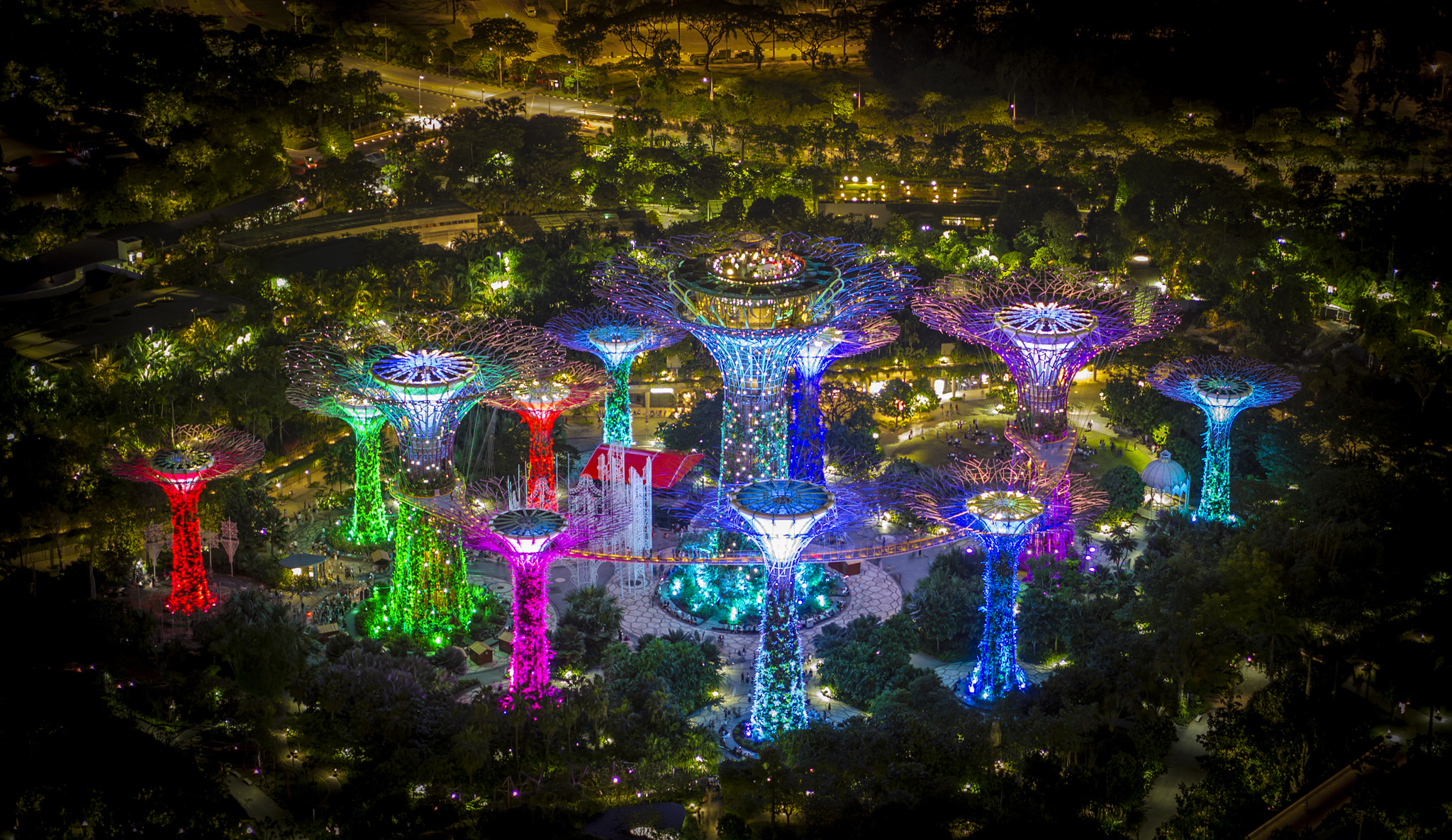 E 50mm F1.8 OSS sample photo. Supertree grove at night photography