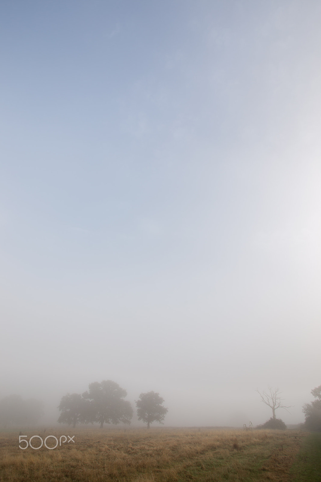 Canon EOS 6D sample photo. Sunny foggy photography
