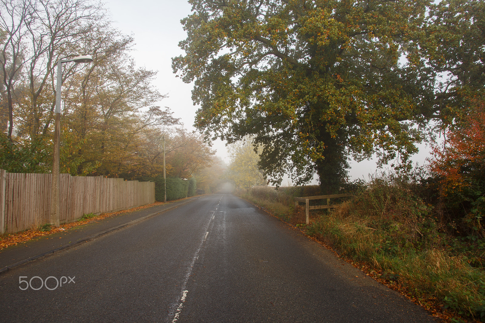 Canon EF 20-35mm f/2.8L sample photo. Little fog photography