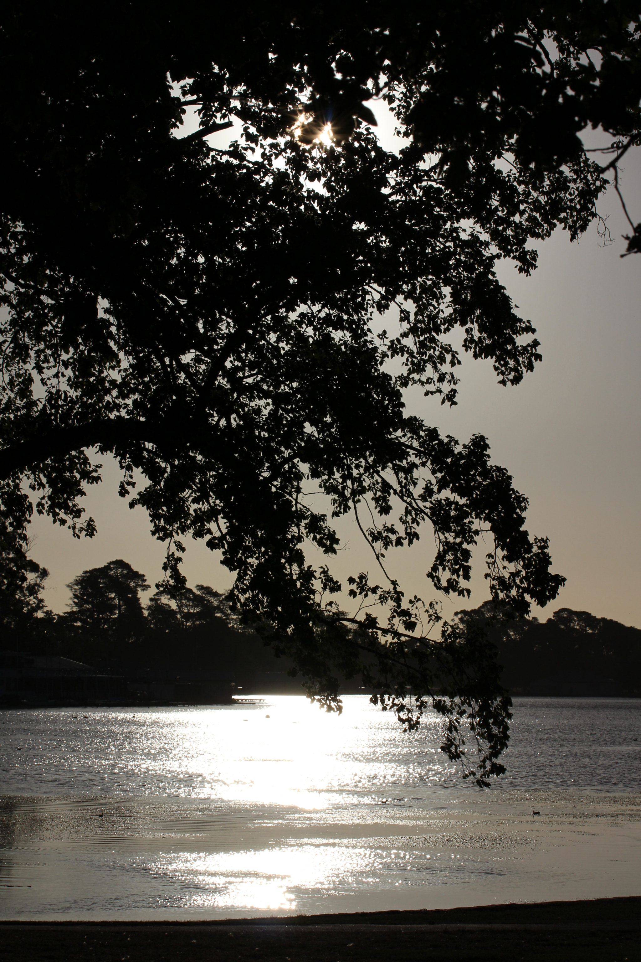 Tamron SP 35mm F1.8 Di VC USD sample photo. Sunset photography