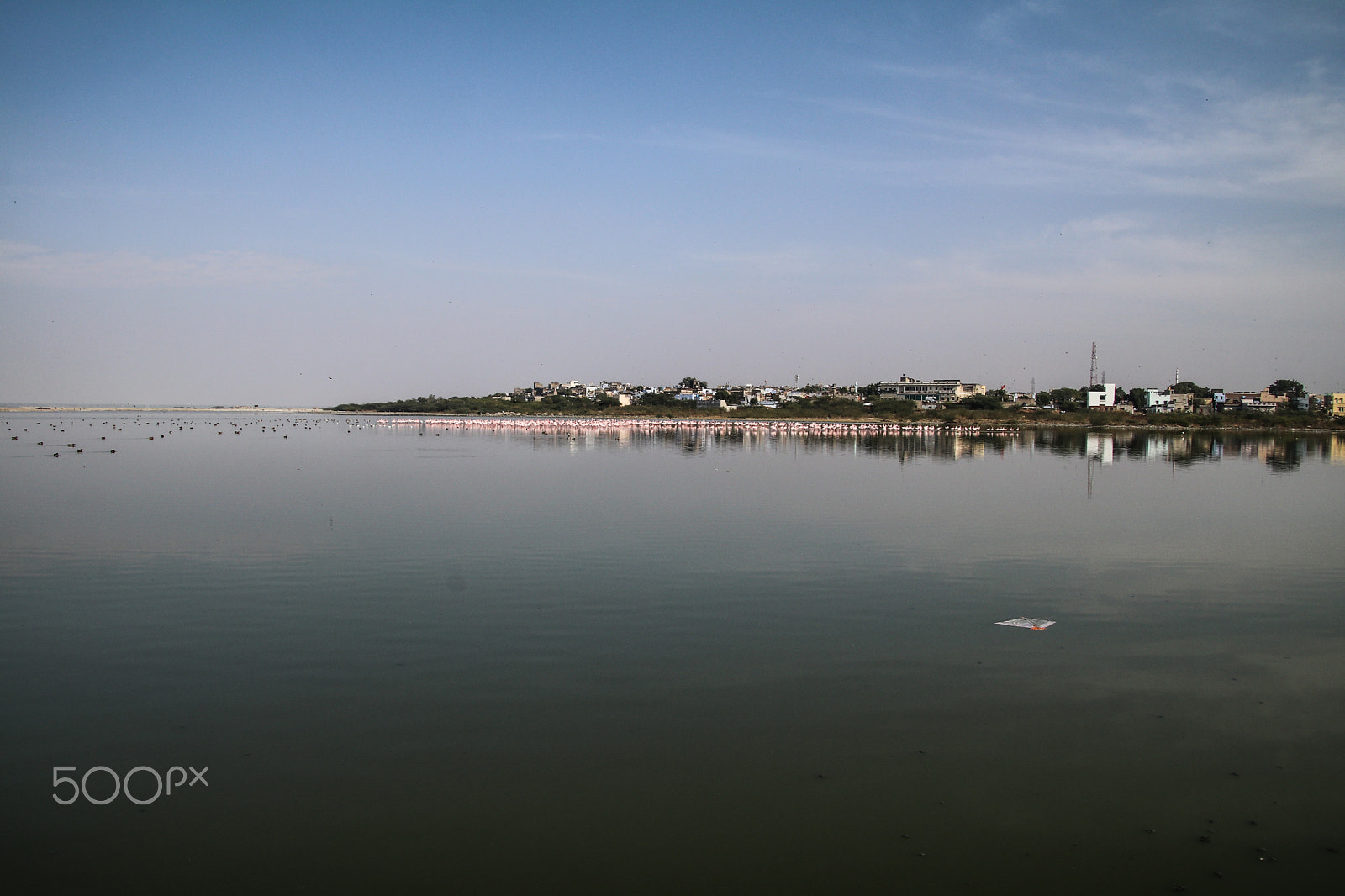 Canon EOS 80D sample photo. Lake, flamingo, town photography