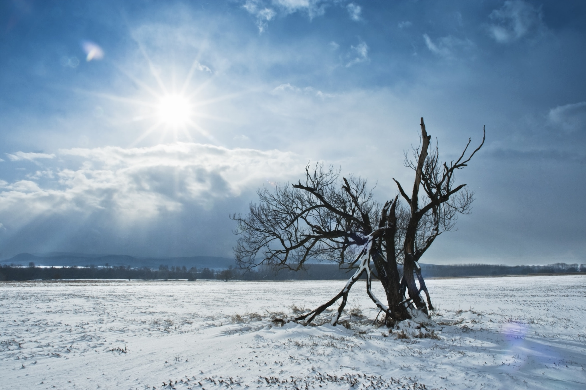 Sigma 18-125mm f/3.5-5.6 DC IF ASP sample photo. Lone tree photography