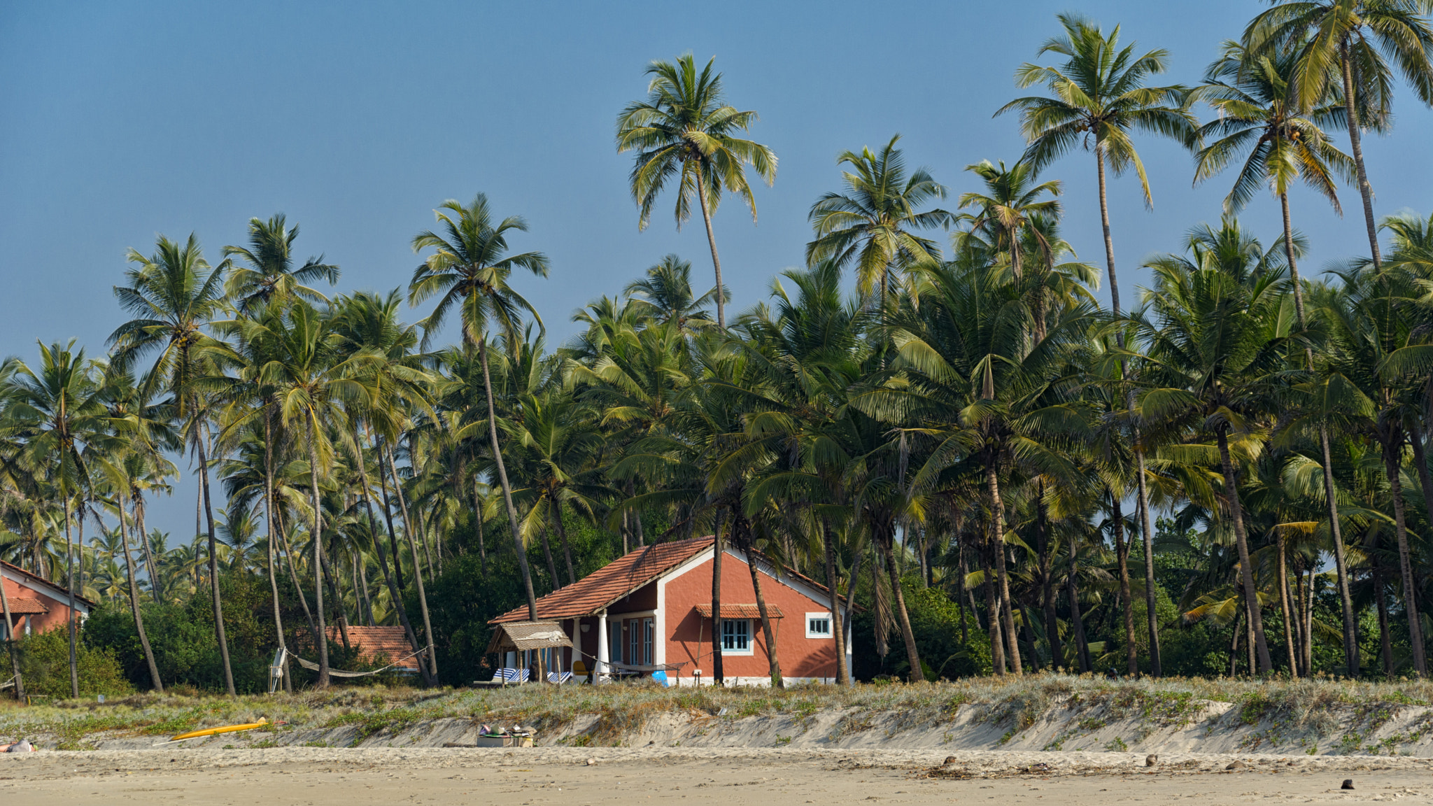 Sigma 28-300mm F3.5-6.3 DG Macro sample photo. Close to paradise photography
