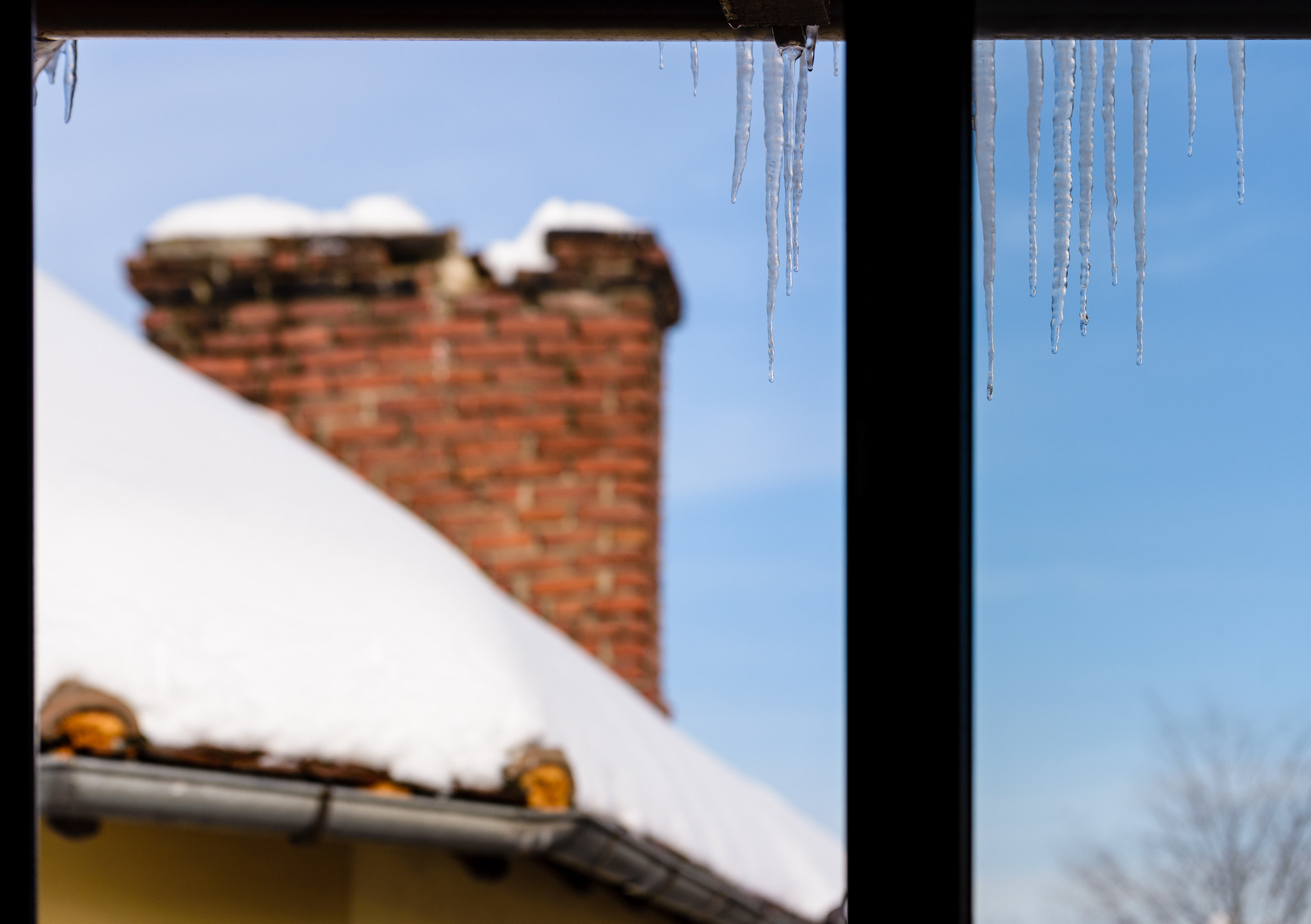 Nikon D610 sample photo. Winter frame photography