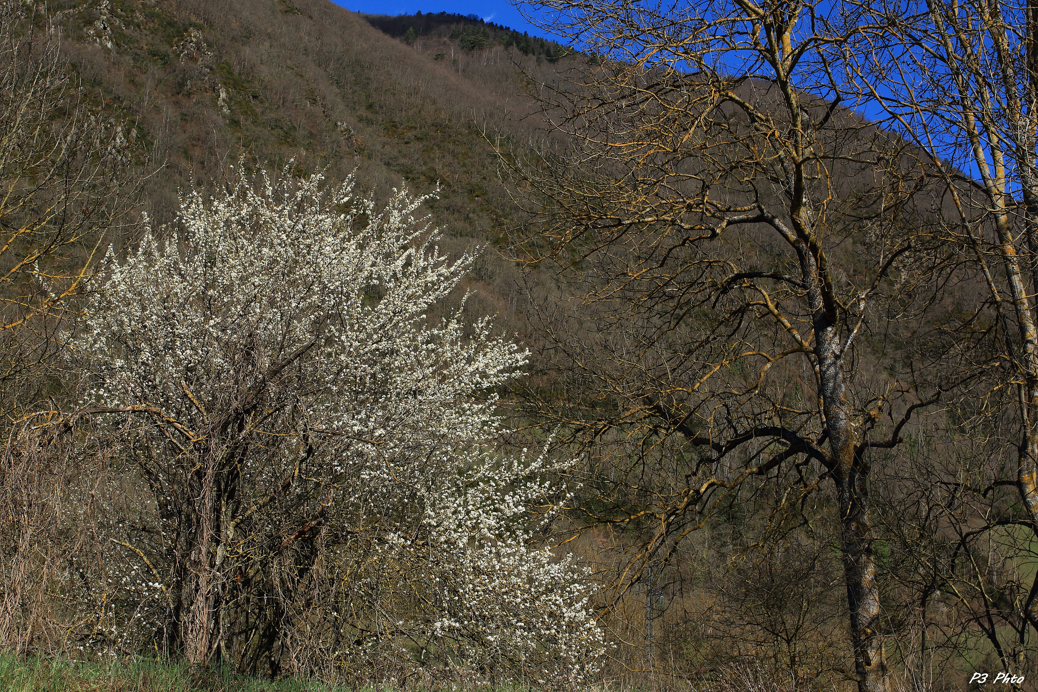 Sigma 35mm F1.4 DG HSM Art sample photo. Tma photography