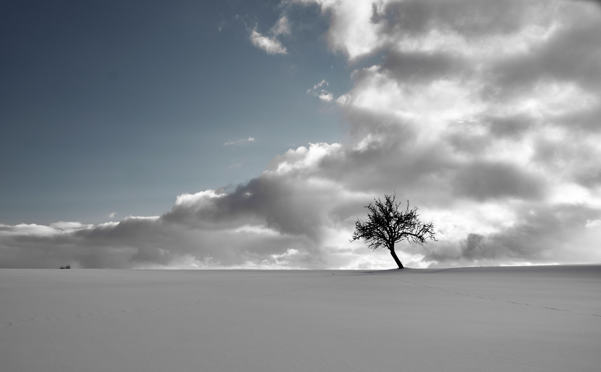 Sony SLT-A37 sample photo. Wintertime photography