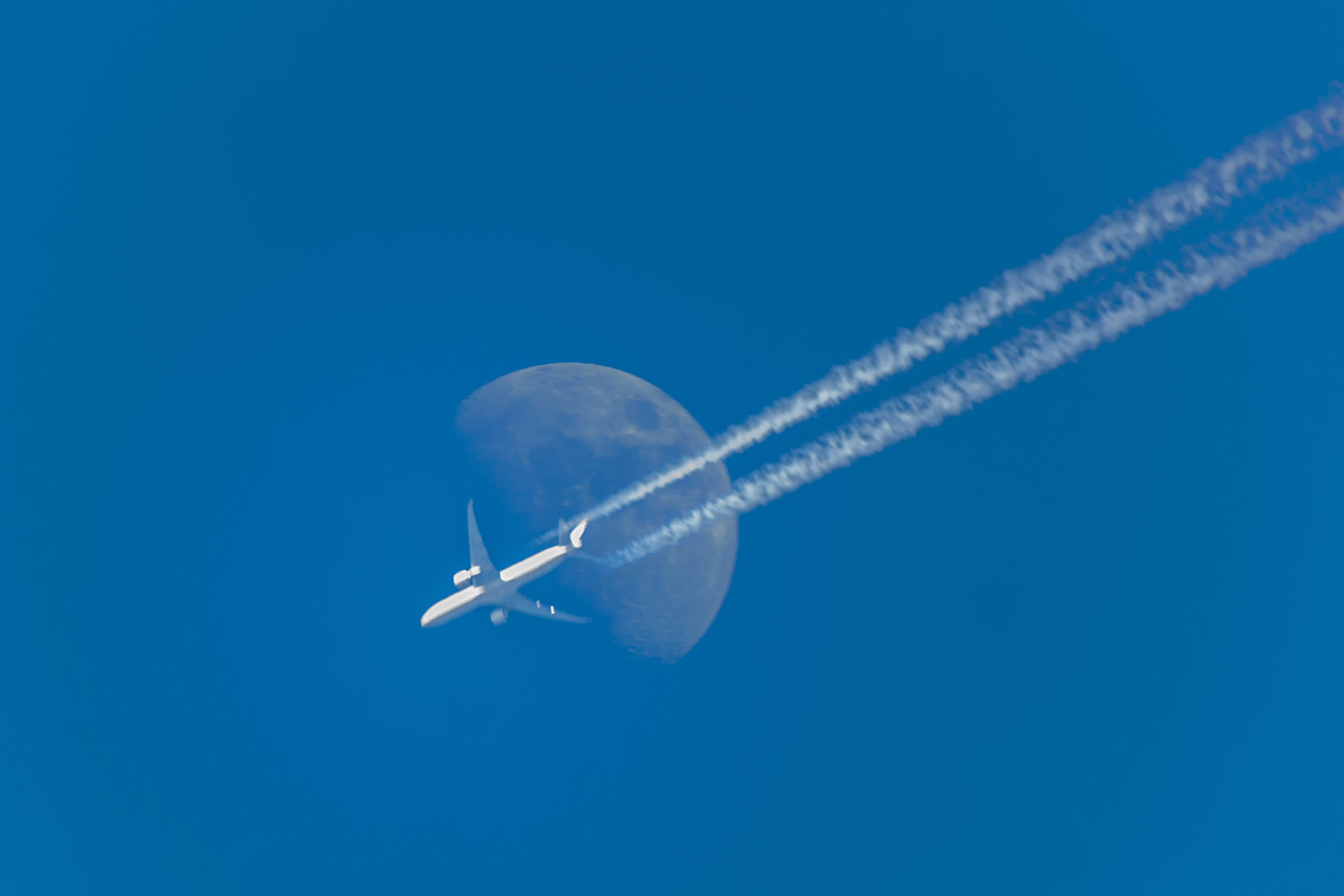 Sigma 50-500mm f/4-6.3 APO HSM EX sample photo. Moonracer photography