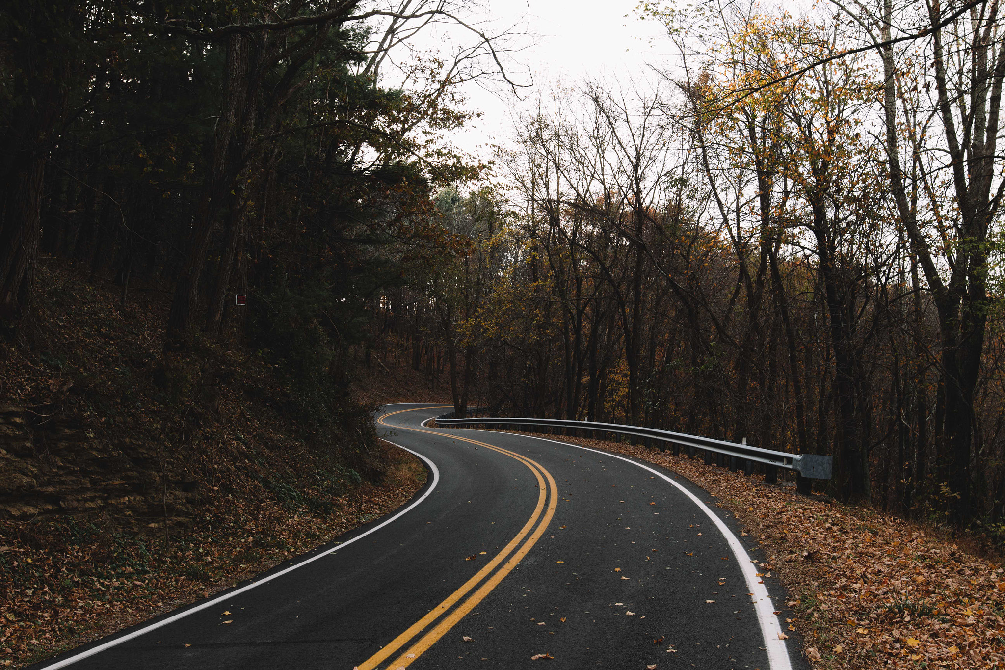 Sigma 24mm F1.4 DG HSM Art sample photo. November road photography
