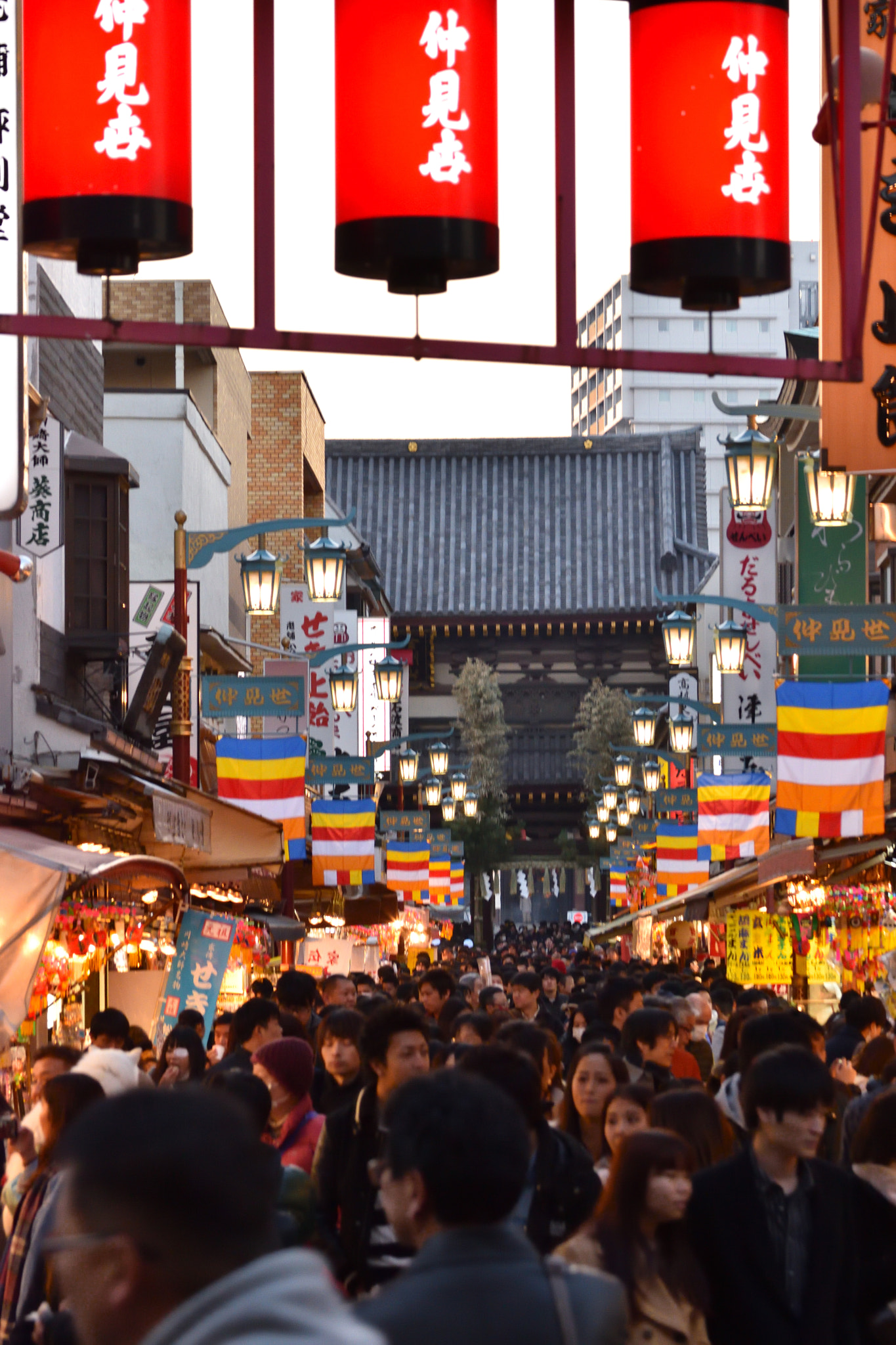 Nikon D5500 sample photo. Japanese new year photography