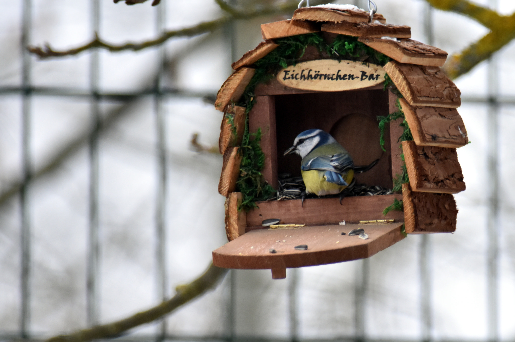 Nikon D7200 + Nikon AF-S Nikkor 300mm F4D ED-IF sample photo. Mésange bleue photography