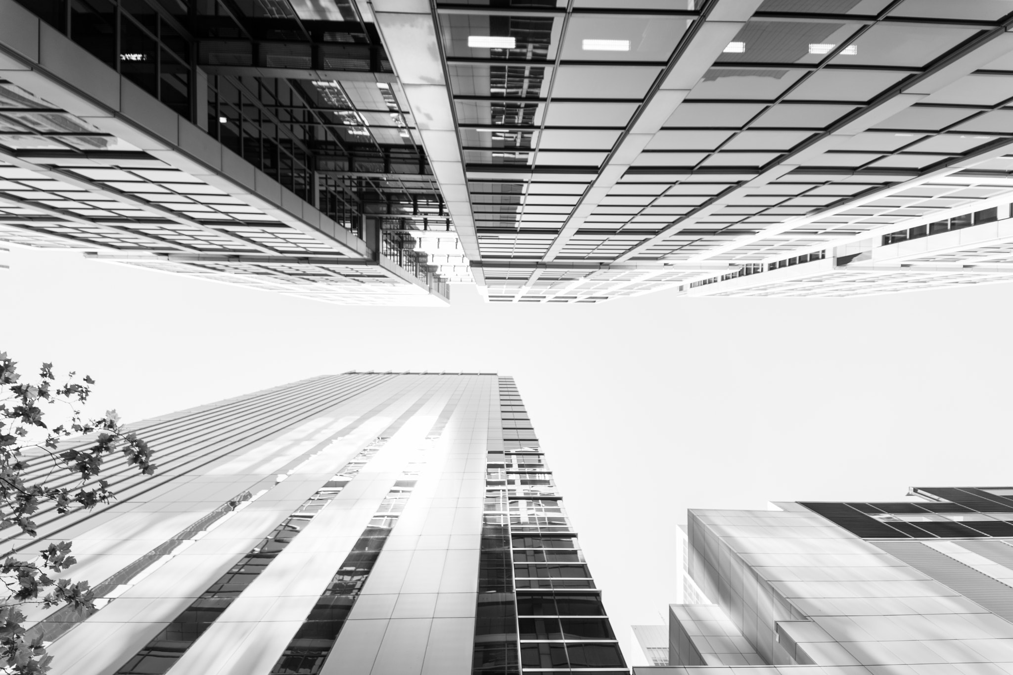 E 14mm F2.8 sample photo. Sardines photography