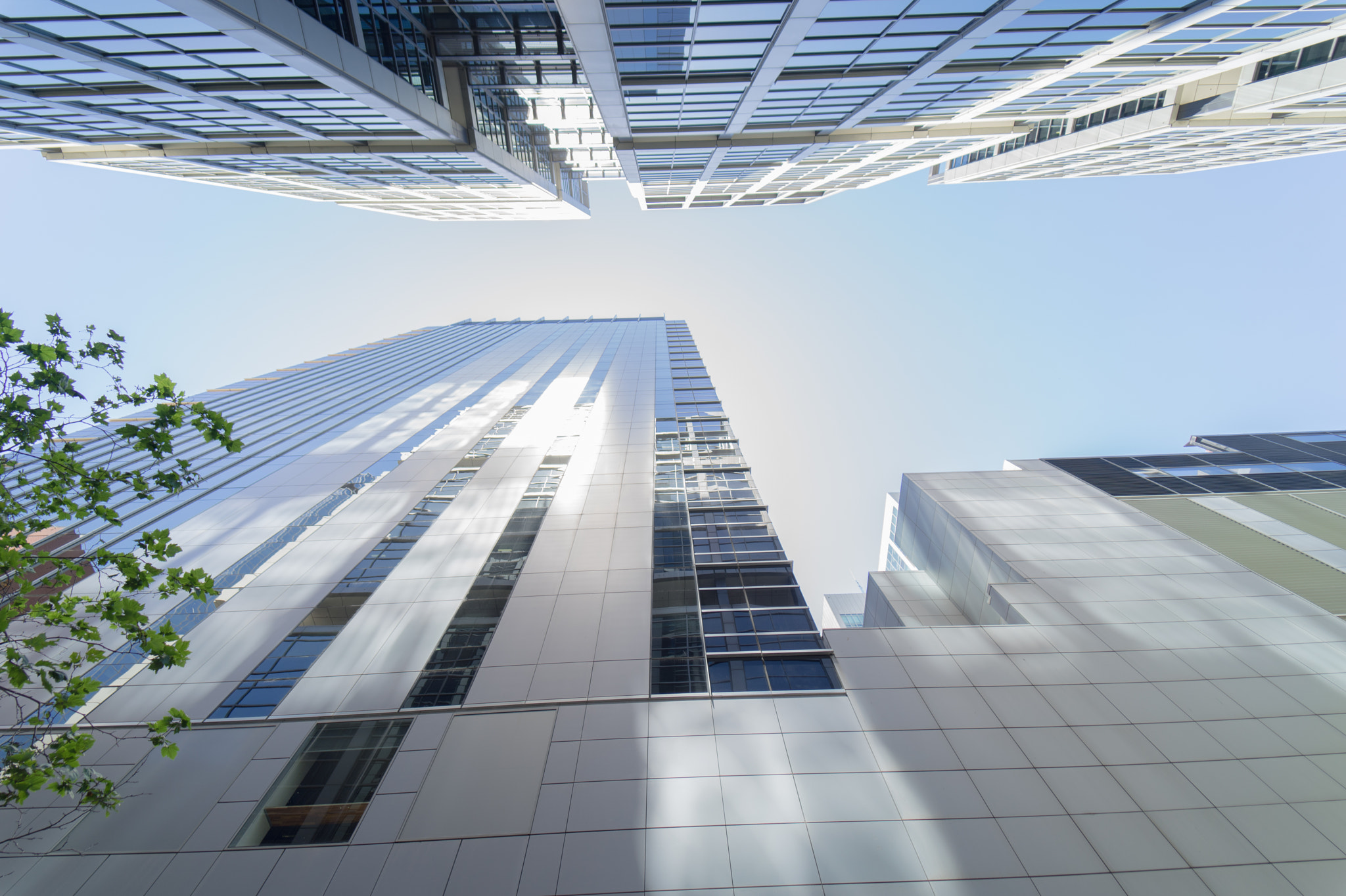 E 14mm F2.8 sample photo. Sardines photography