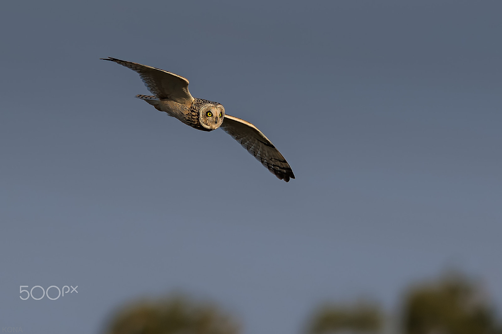 Nikon AF-S Nikkor 400mm F2.8G ED VR II sample photo. Komimi photography
