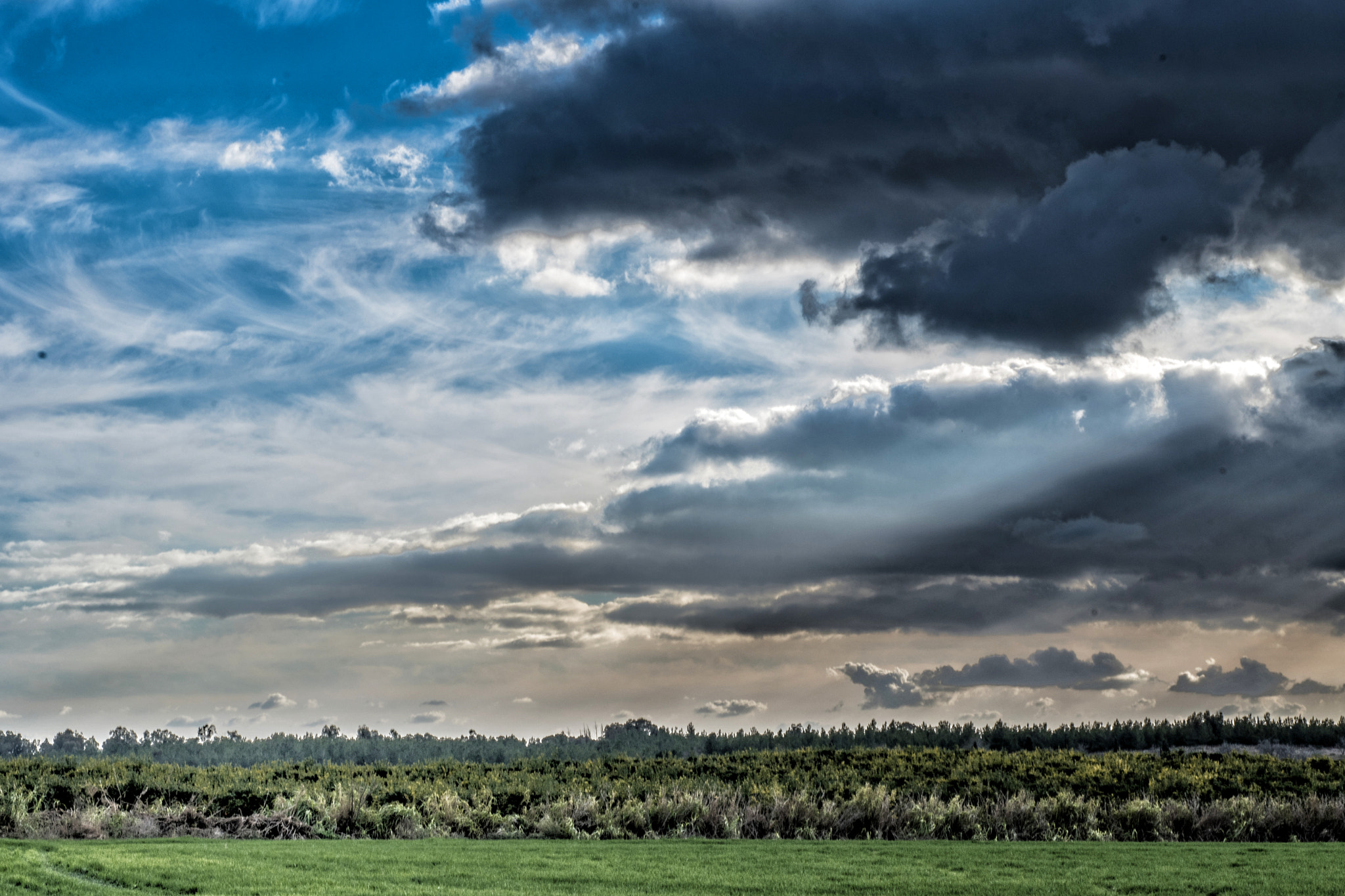 Nikon D500 + Nikon AF Micro-Nikkor 60mm F2.8D sample photo. Evening skies photography