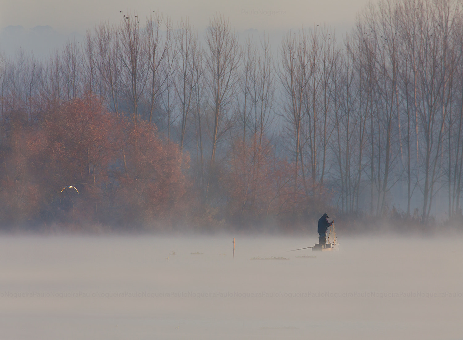 Canon EOS 50D + Canon EF 70-300mm F4-5.6L IS USM sample photo. First fishing in the morning photography