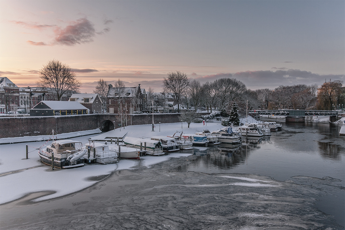 Sigma 18-250mm F3.5-6.3 DC OS HSM sample photo. Wintermorning photography
