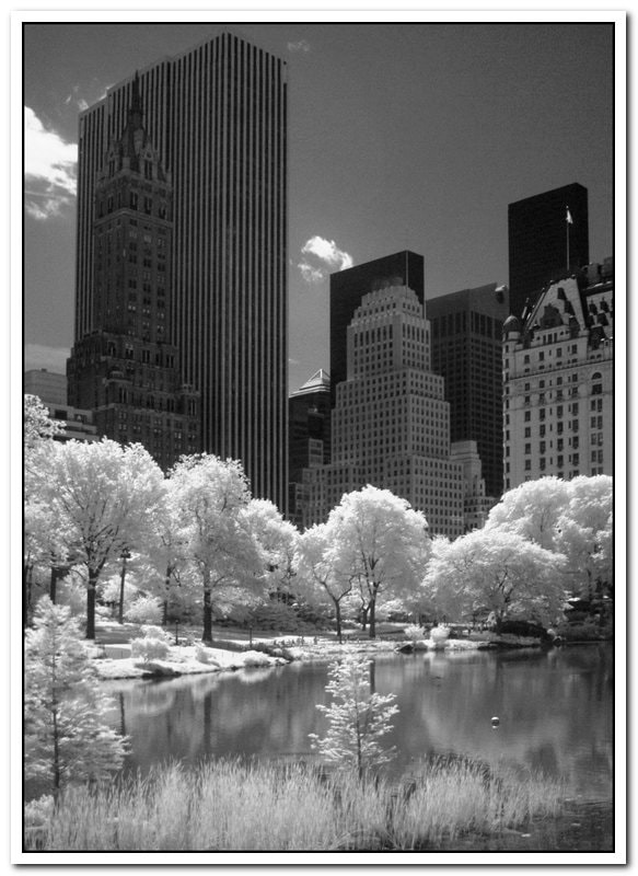 Fujifilm FinePix S2 Pro sample photo. New york city  photography