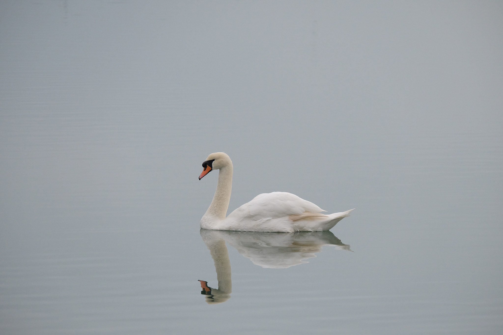 Fujifilm X-T1 + Fujifilm XC 50-230mm F4.5-6.7 OIS sample photo. Stillness photography