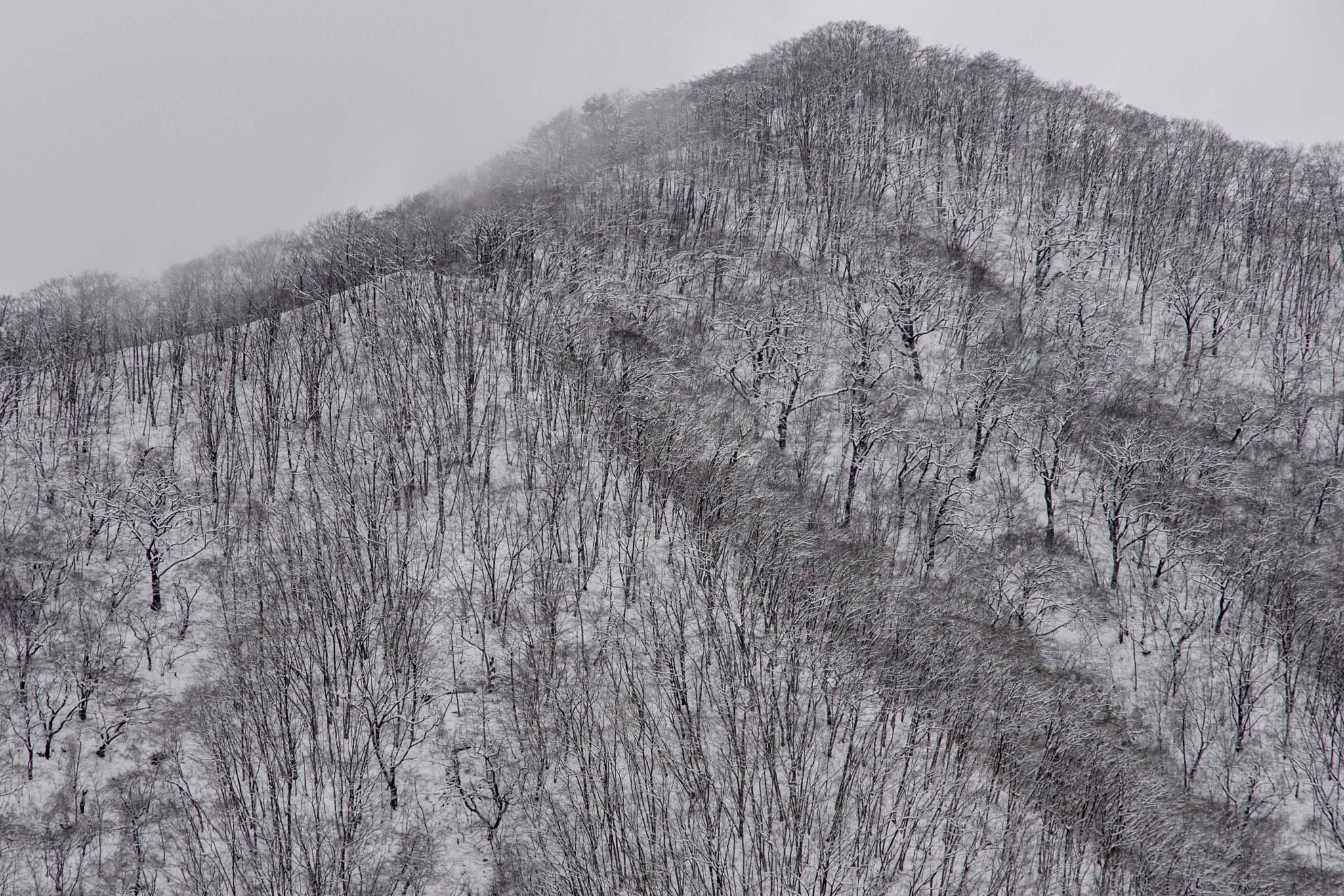 Pentax K-1 sample photo. Winter mountain photography